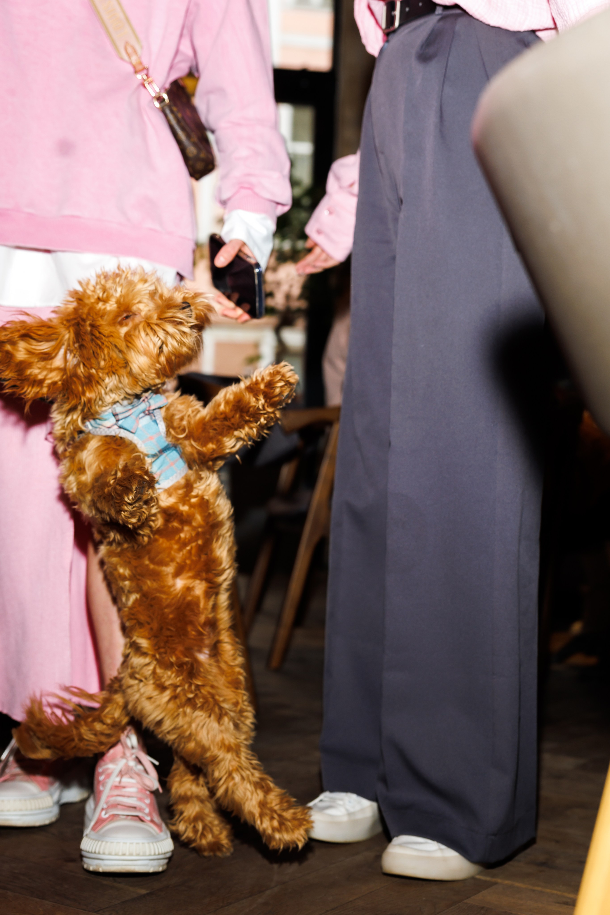 VIVA TATOO x PASTA QUEEN. Фотограф Москва. Репортажная съемка, портрет, бизнес-портрет