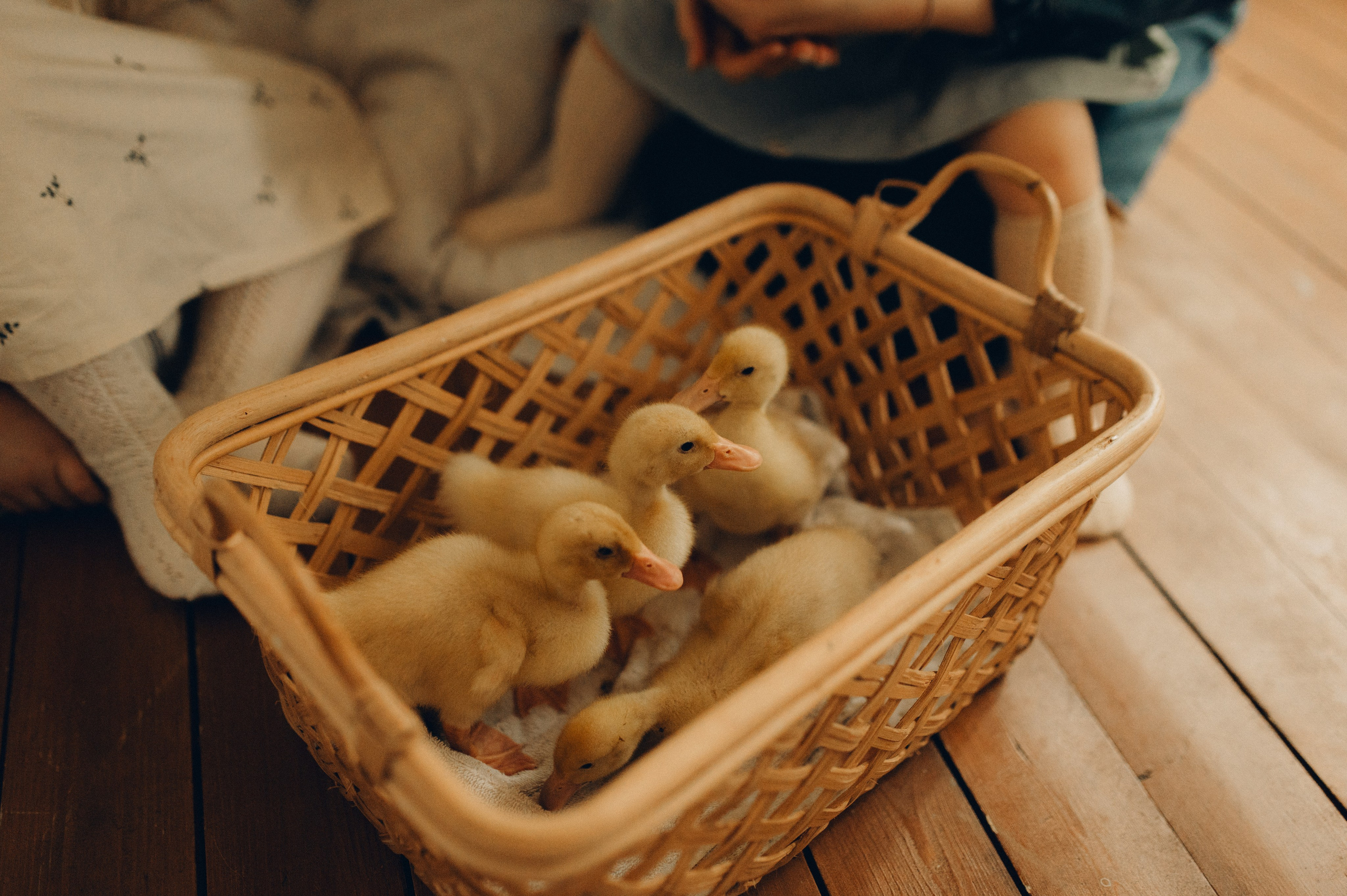 Весна в ладошках. Семейный фотограф в Москве Екатерина Денисенко | Фотосессии без постановки дома и в студии