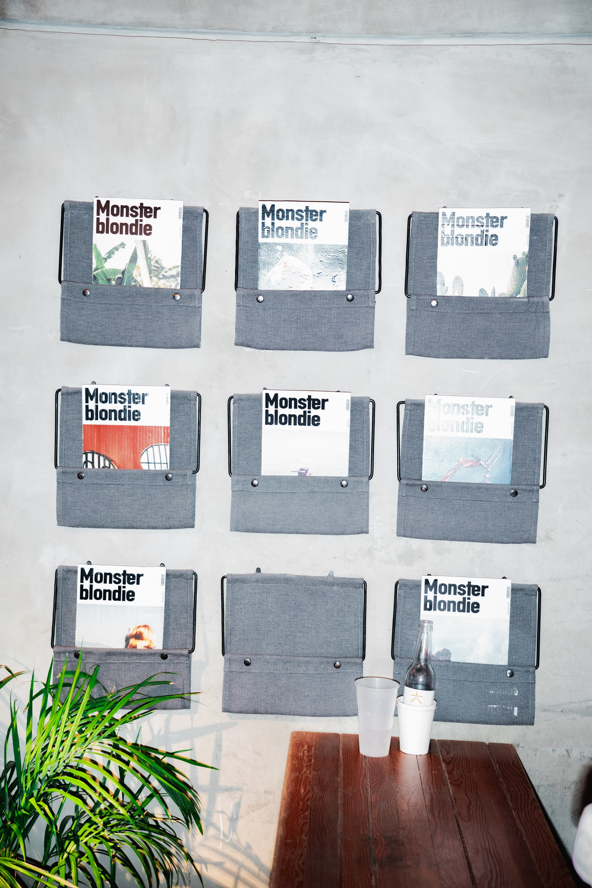 Yandex 360 & NewStarCamp