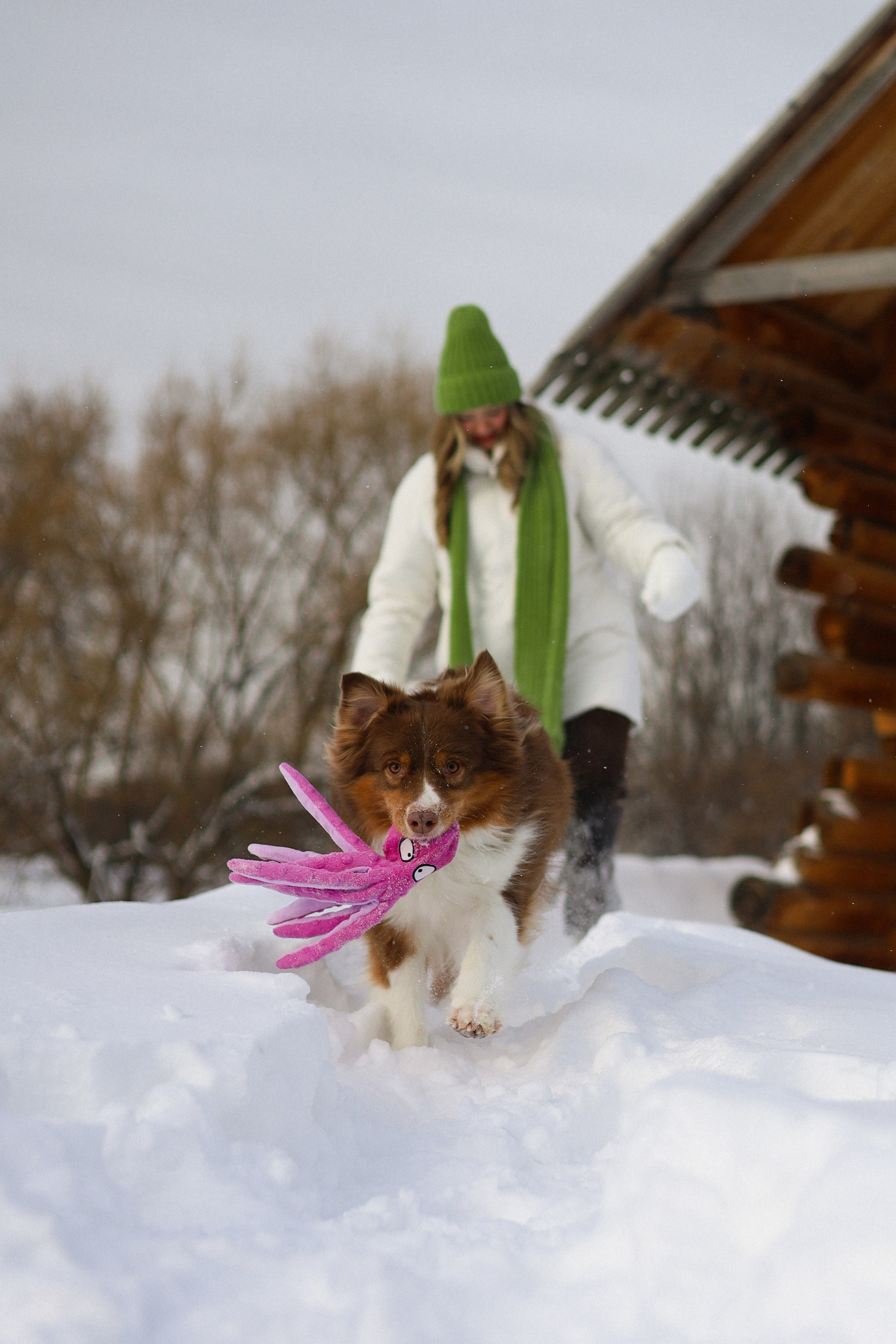Макалу и Аня. Фотограф-анималист Ксения Шевцова|Москва