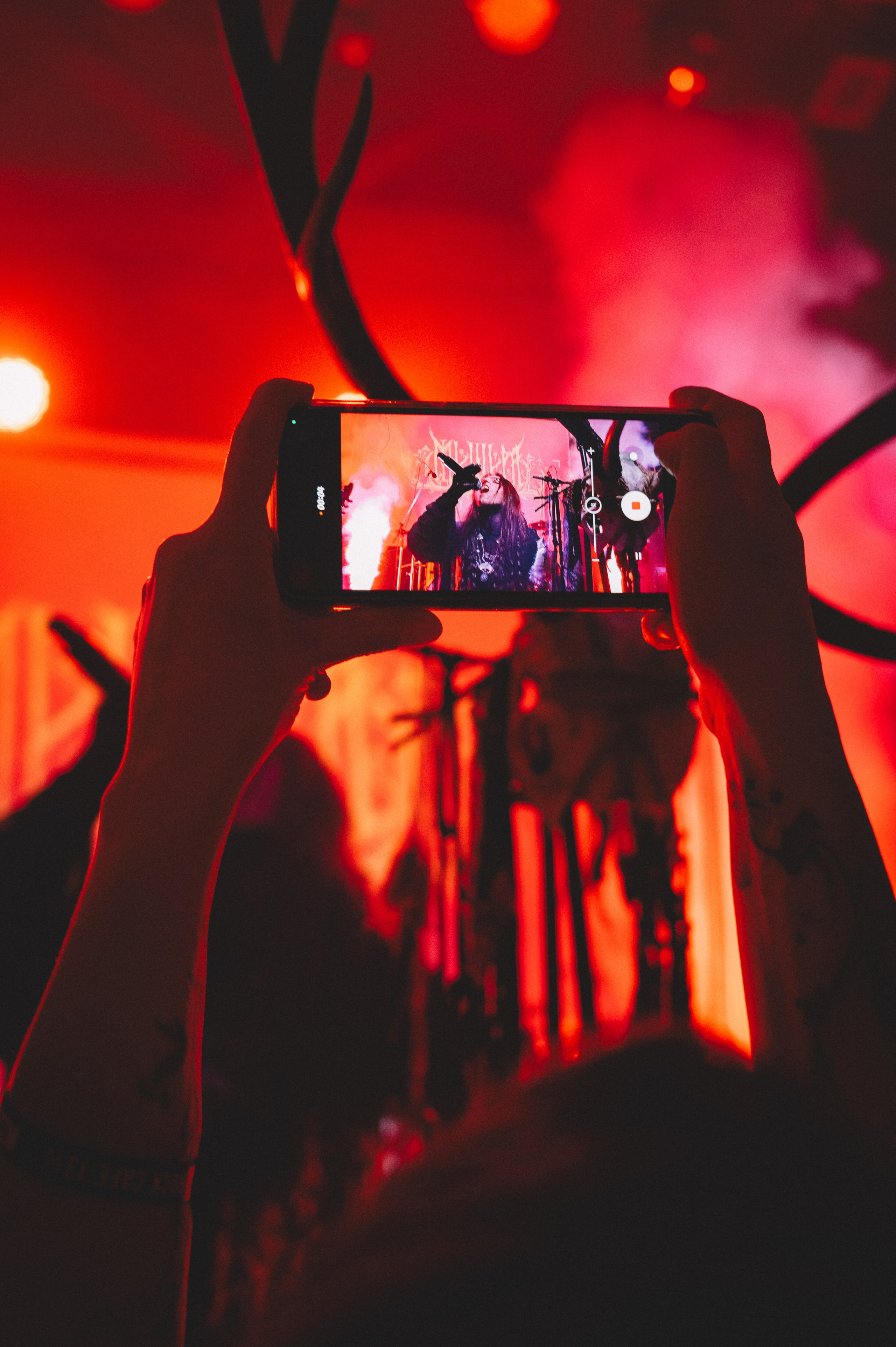 МЕЩЕРА 10.11.24. Фотограф Анна Темнова. Пенза