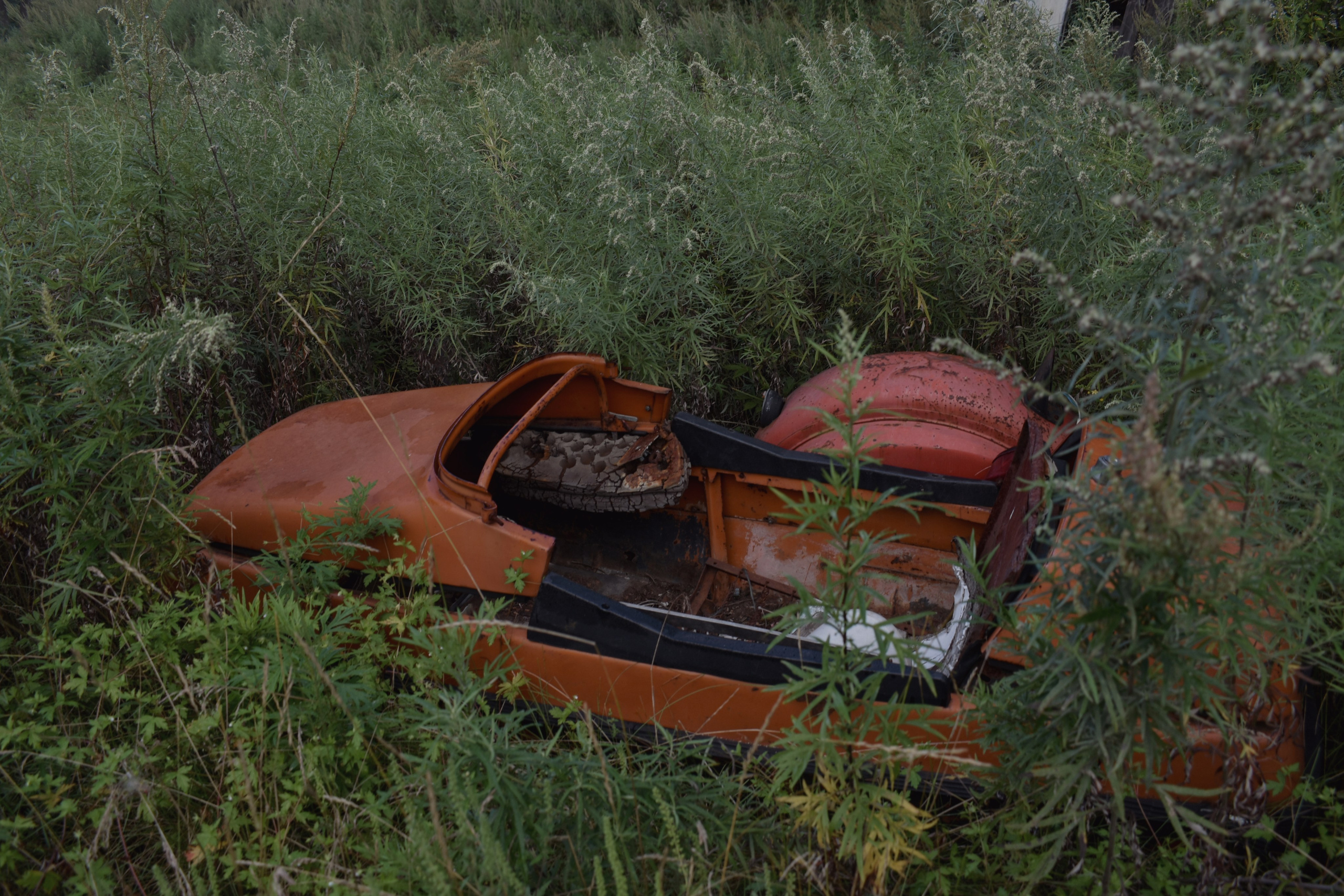 Abandoned. Портретный фотограф во Владивостоке Елена Шкурко