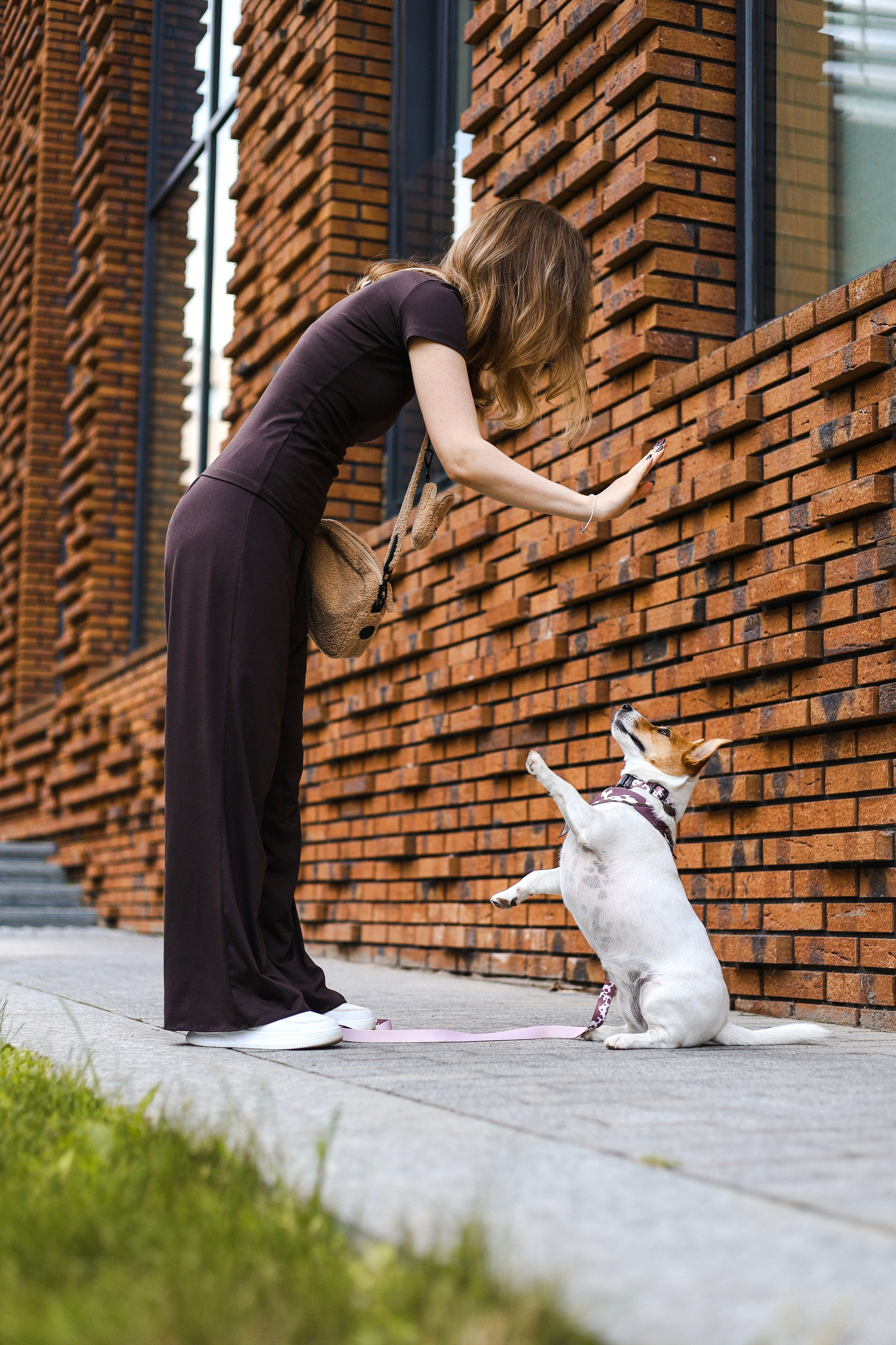 Холли и Катя. Фотограф-анималист Ксения Шевцова|Москва