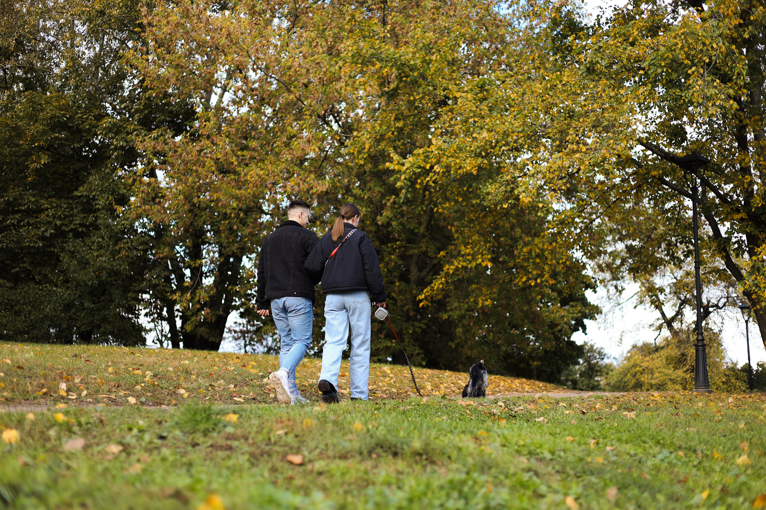 Условия съёмки. Фотограф-анималист Ксения Шевцова|Москва