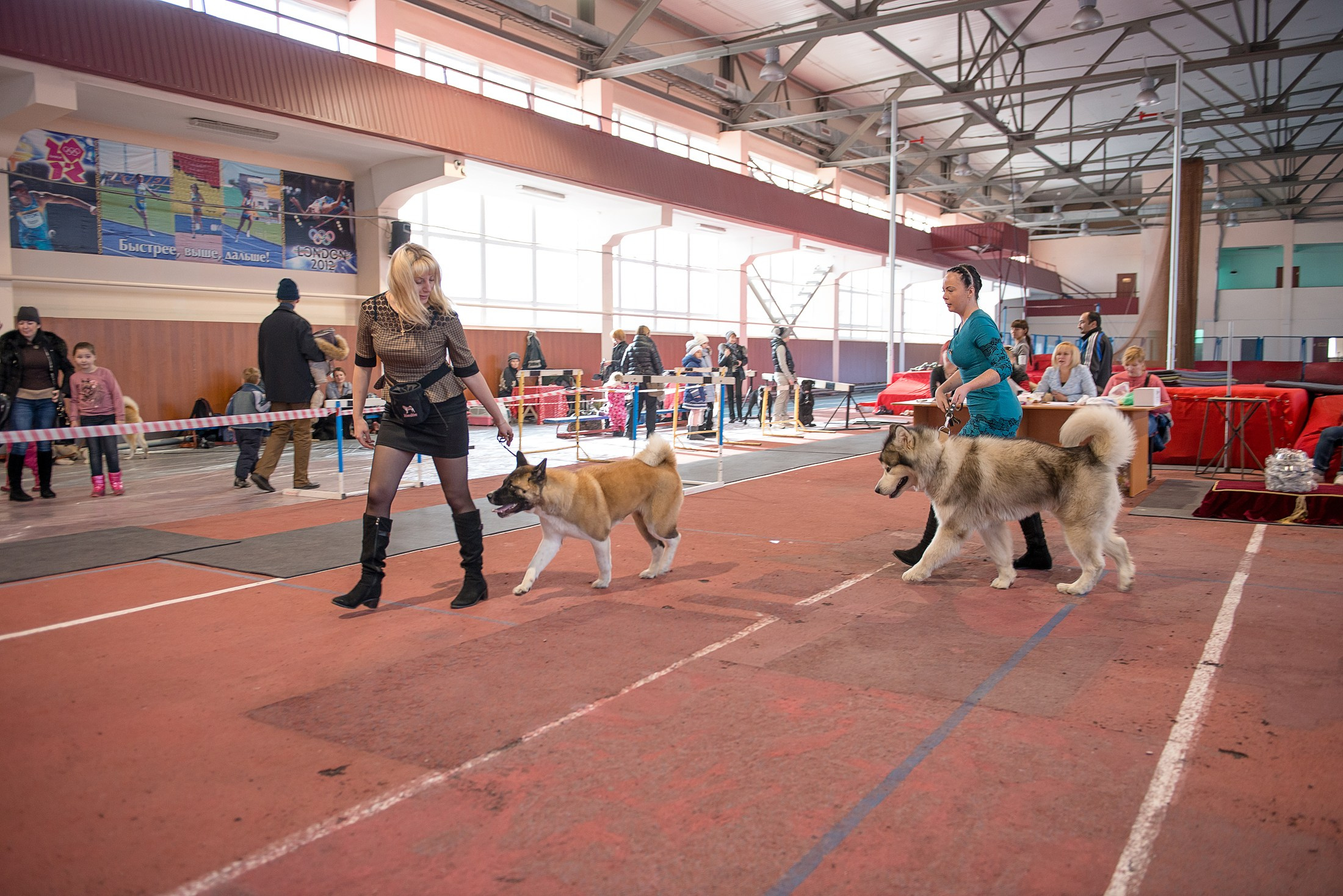 Для СМИ. Фотограф в Калининграде Сулейманов Амирхан