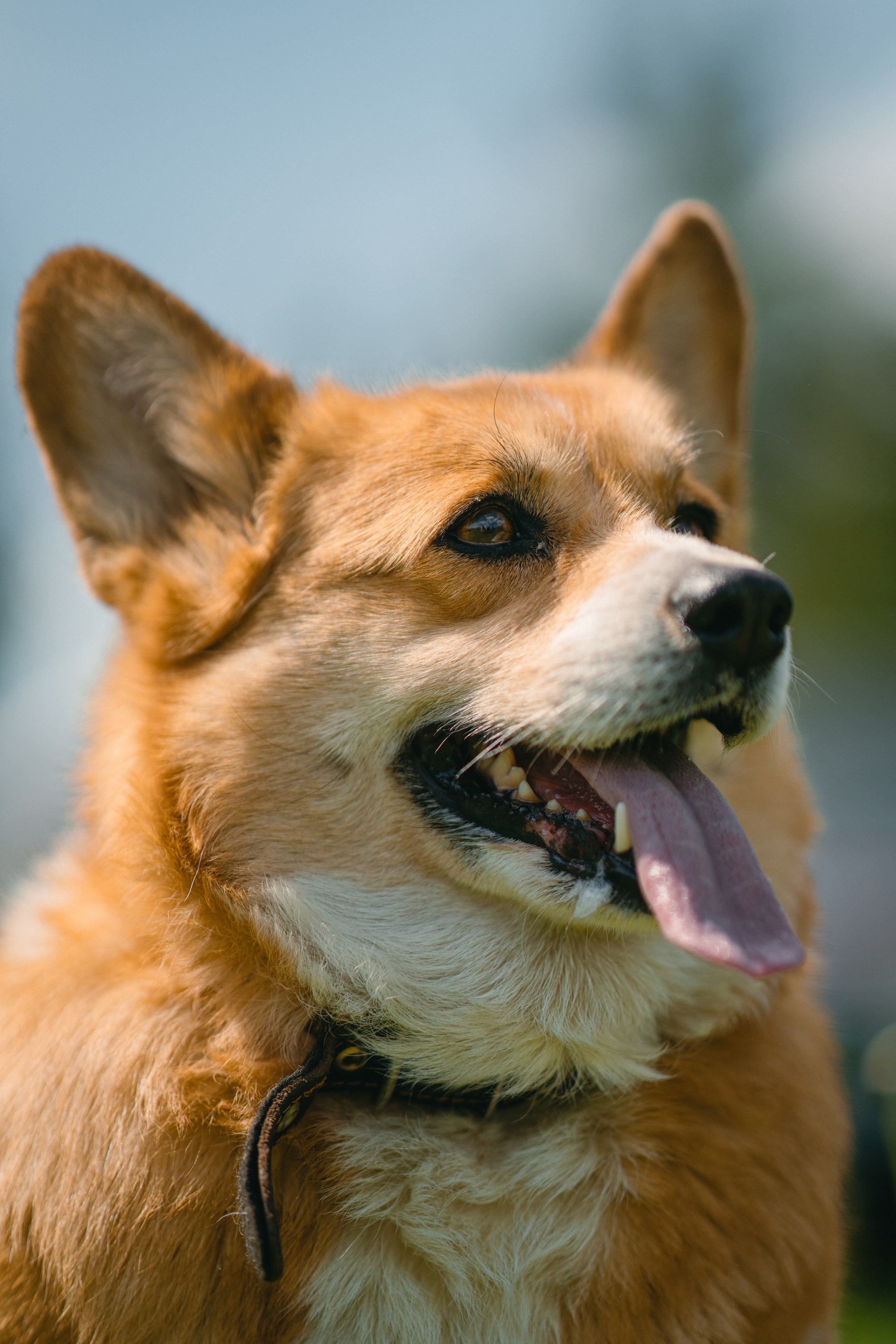 Open season 2025. Жуков Илья  свадебный фотограф в Москве