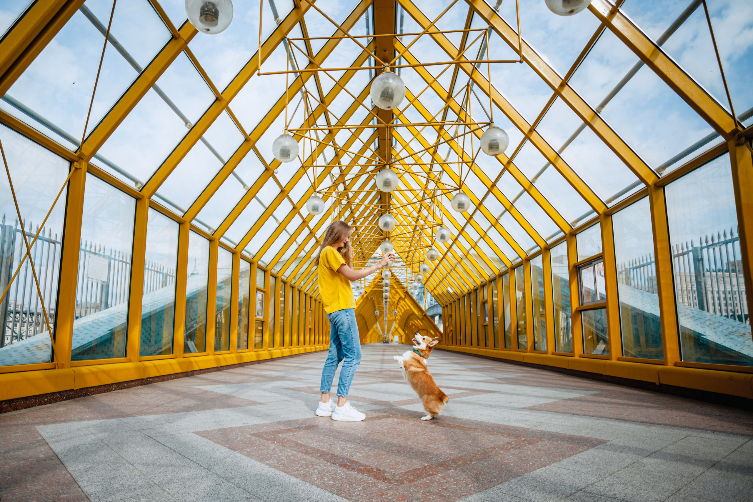 Андреевский мост. Фотограф-анималист Татьяна Степанова