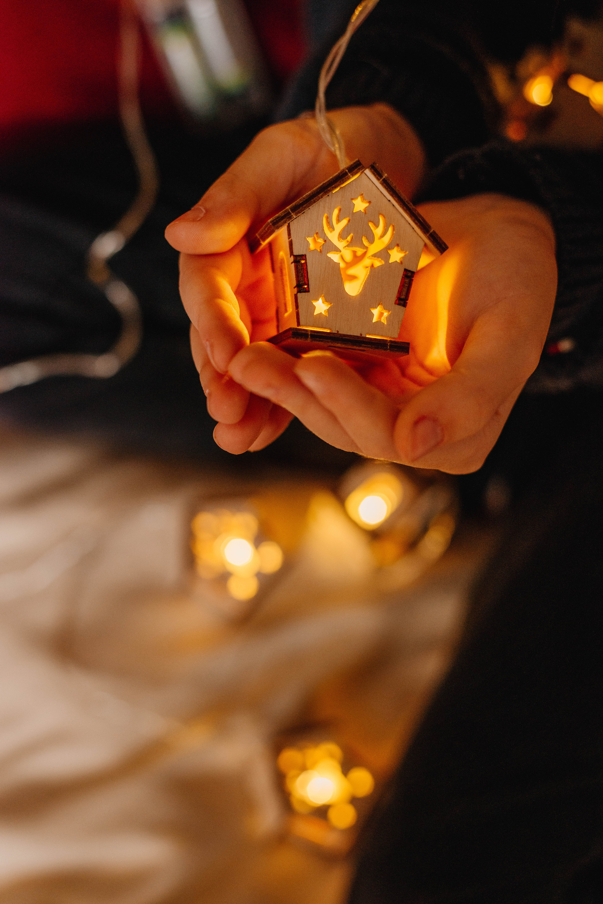 Merega wood. Фотограф Фирсанова Алина