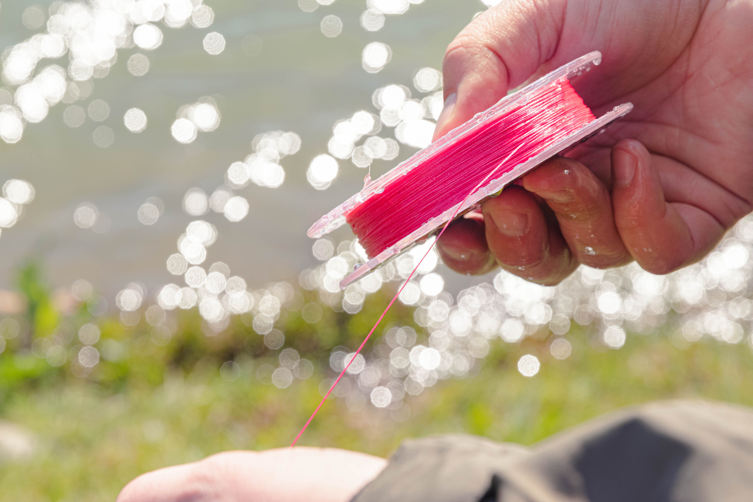 Следопыт. Фотограф Фирсанова Алина
