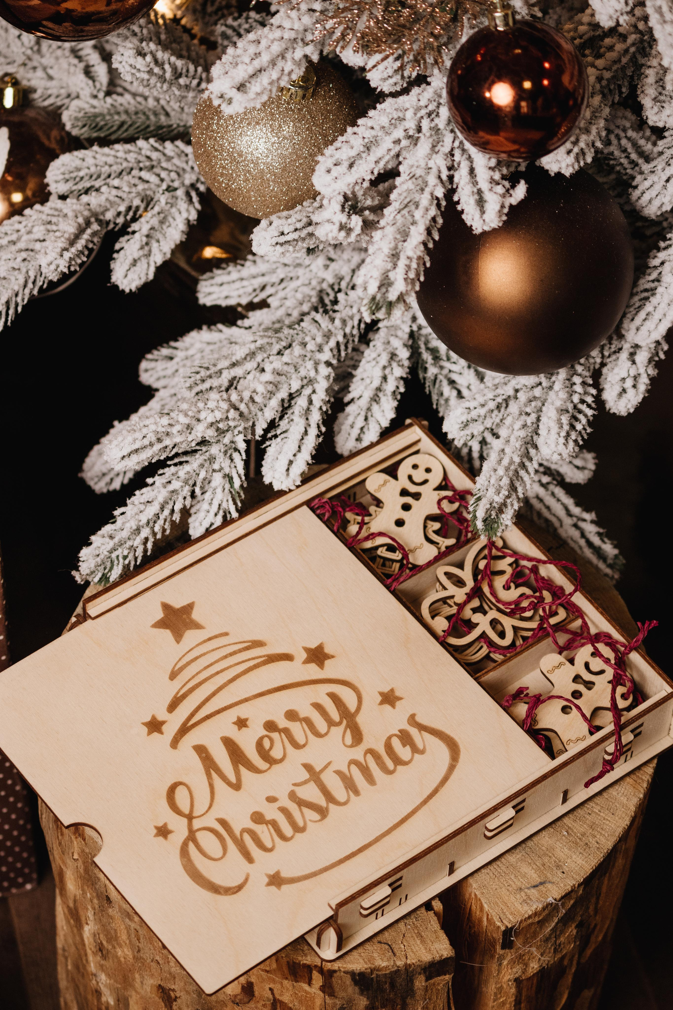 Merega wood. Фотограф Фирсанова Алина