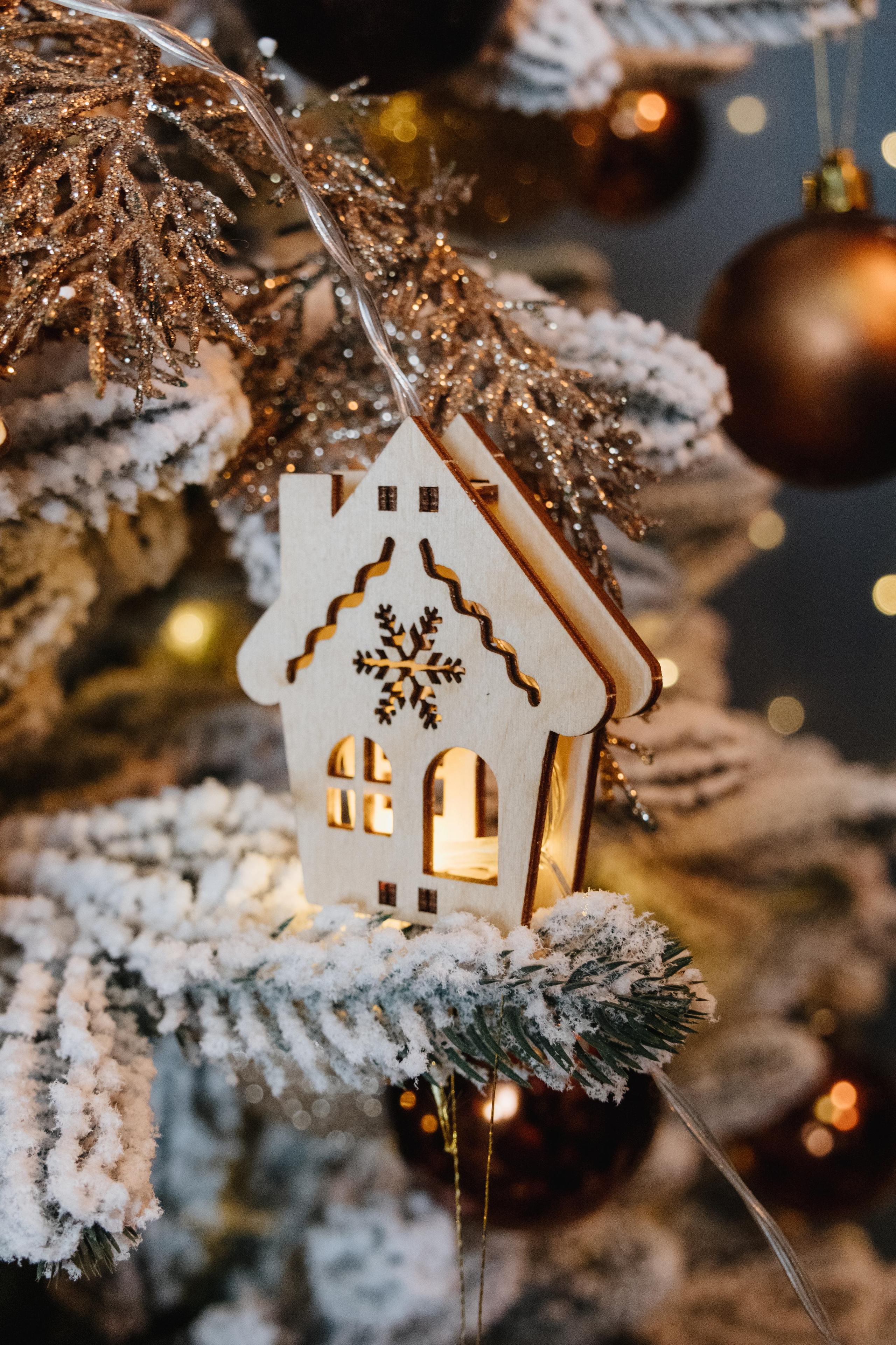 Merega wood. Фотограф Фирсанова Алина