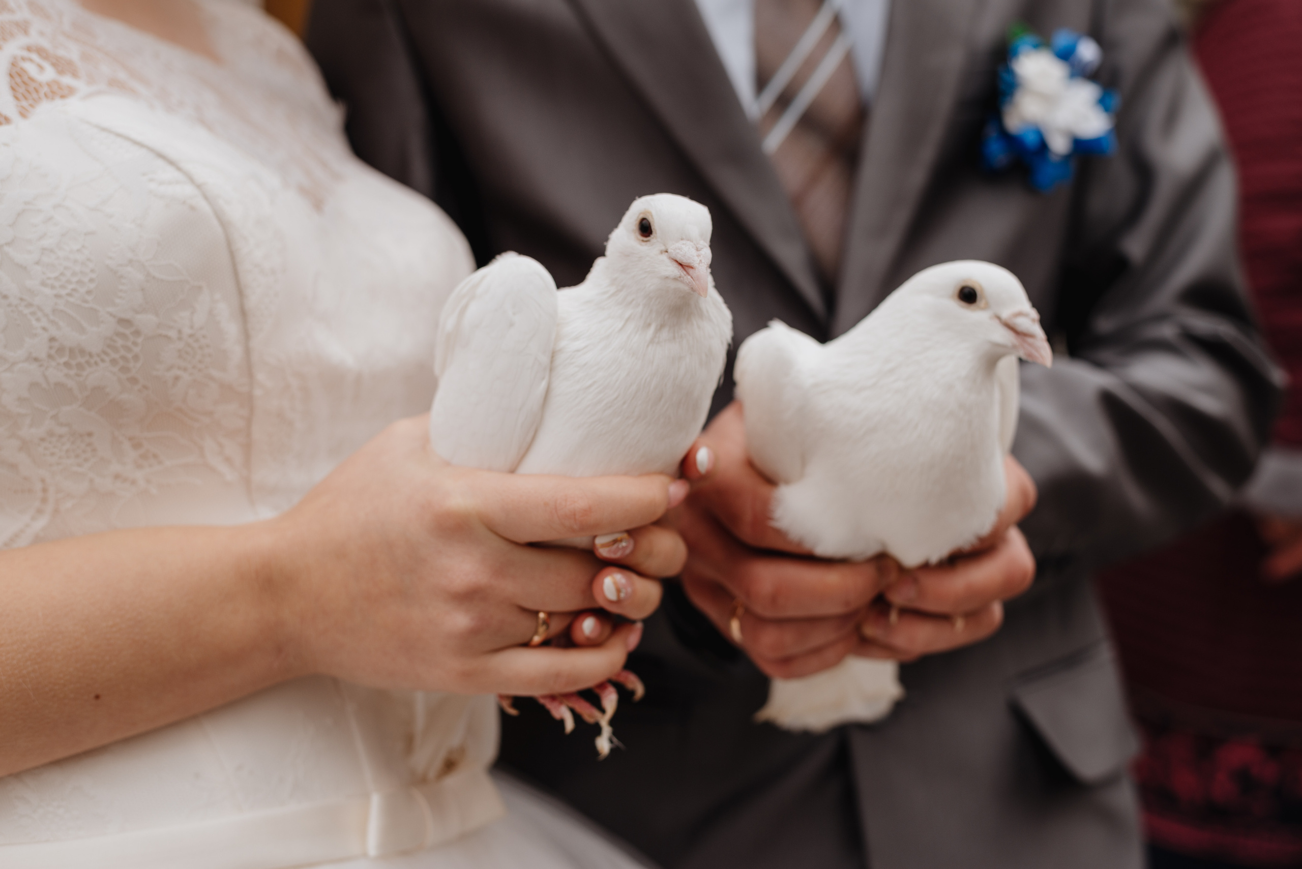 Свадьбы. Фотограф Фирсанова Алина