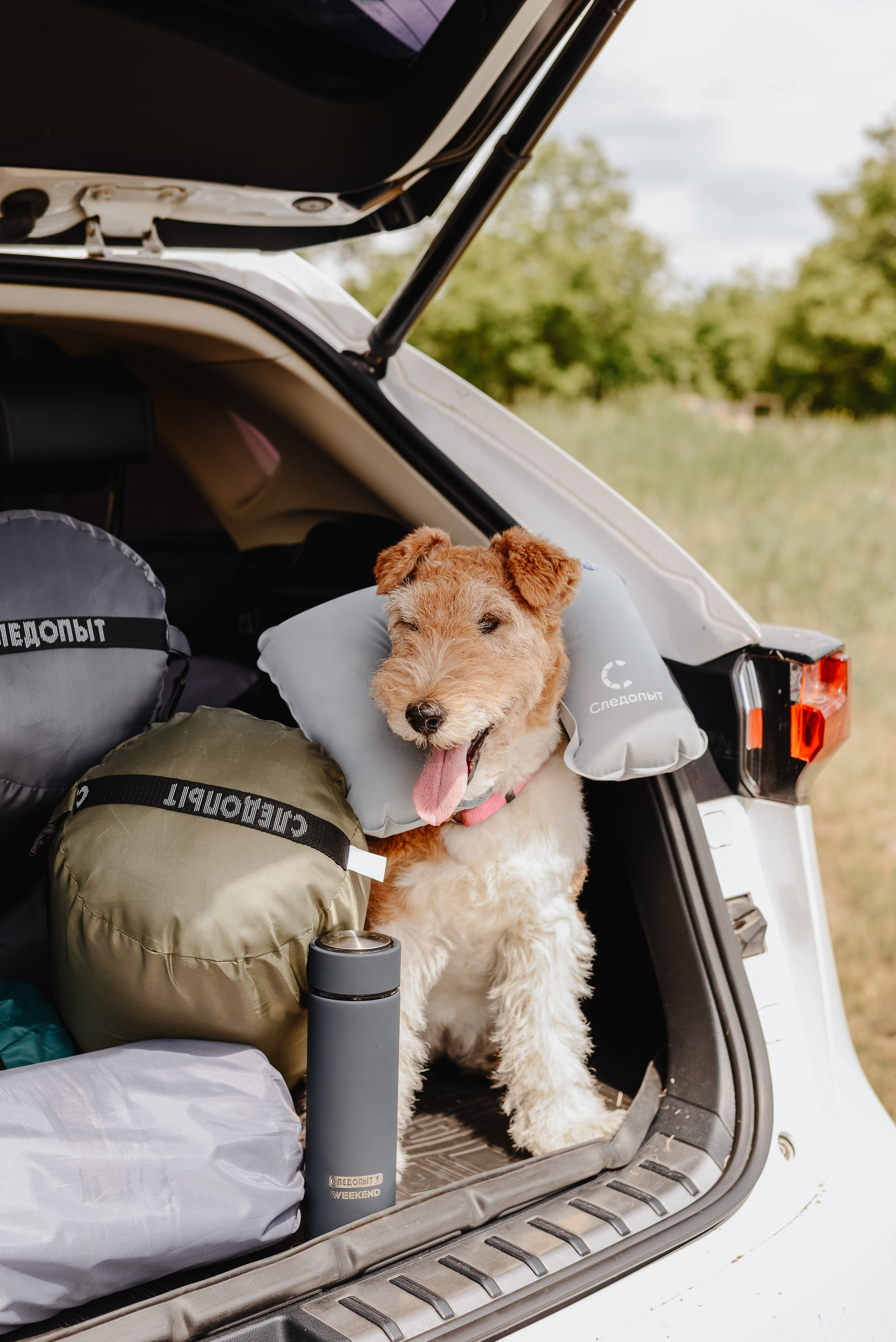 Следопыт. Фотограф Фирсанова Алина