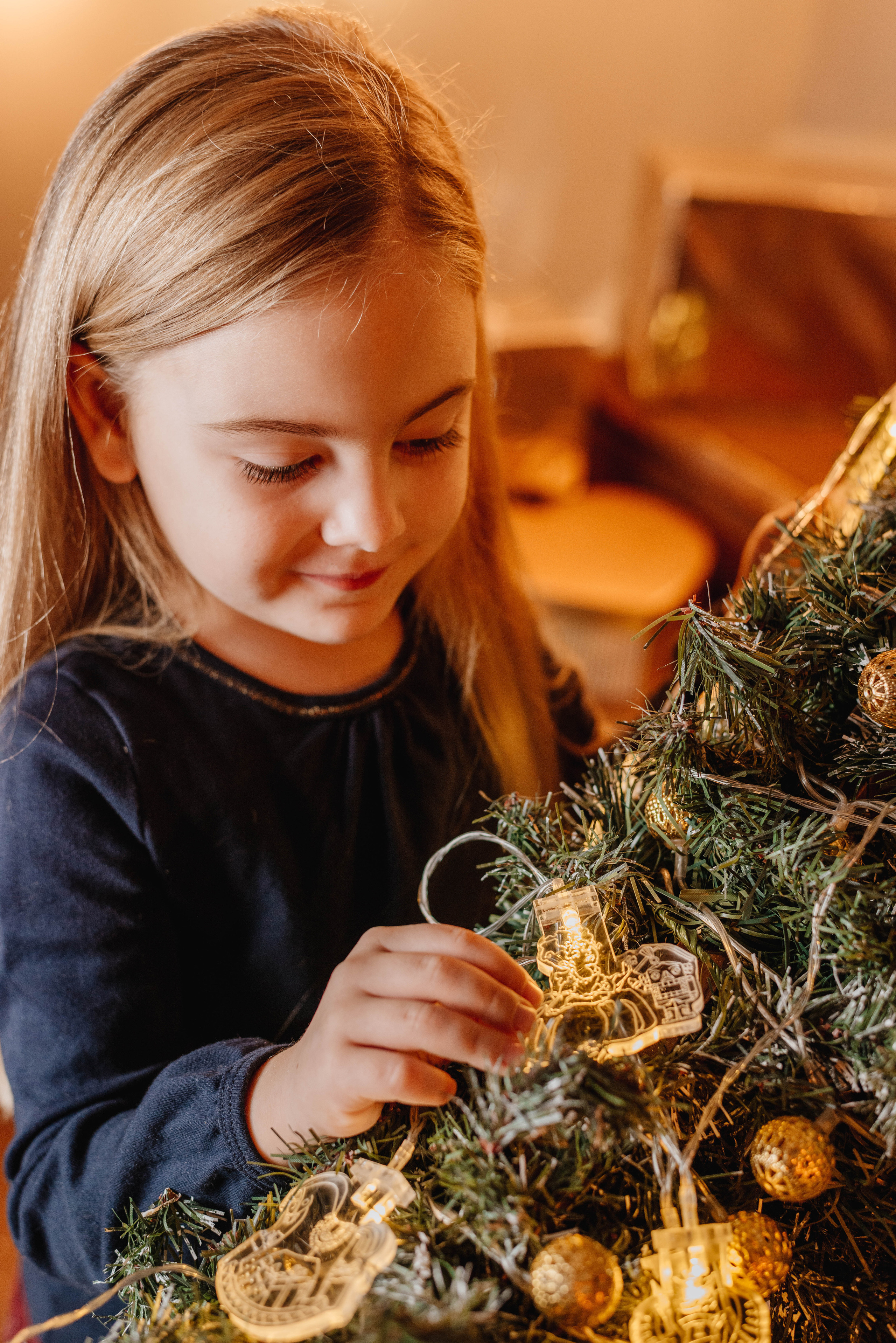 Merega wood. Фотограф Фирсанова Алина