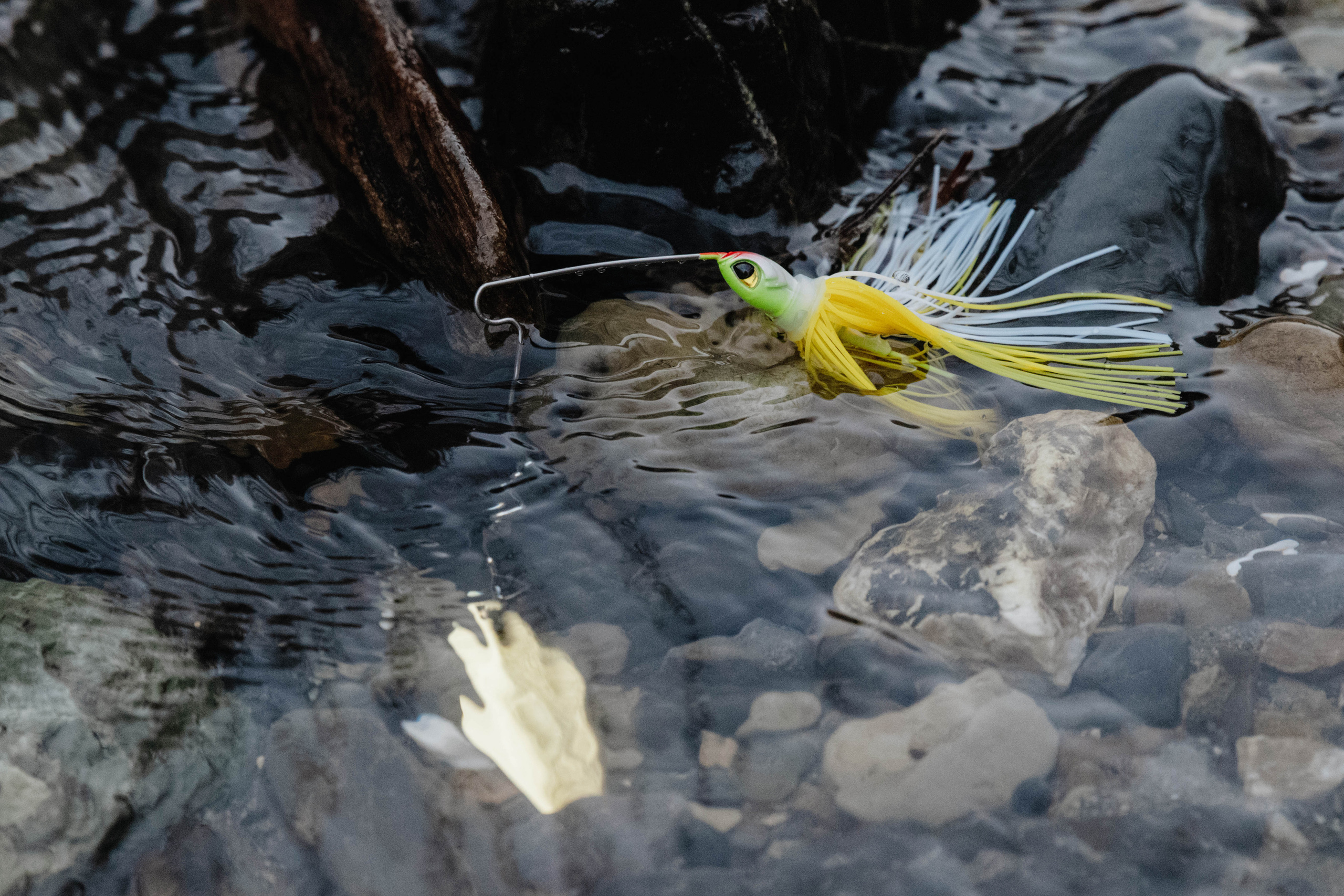Следопыт. Фотограф Фирсанова Алина