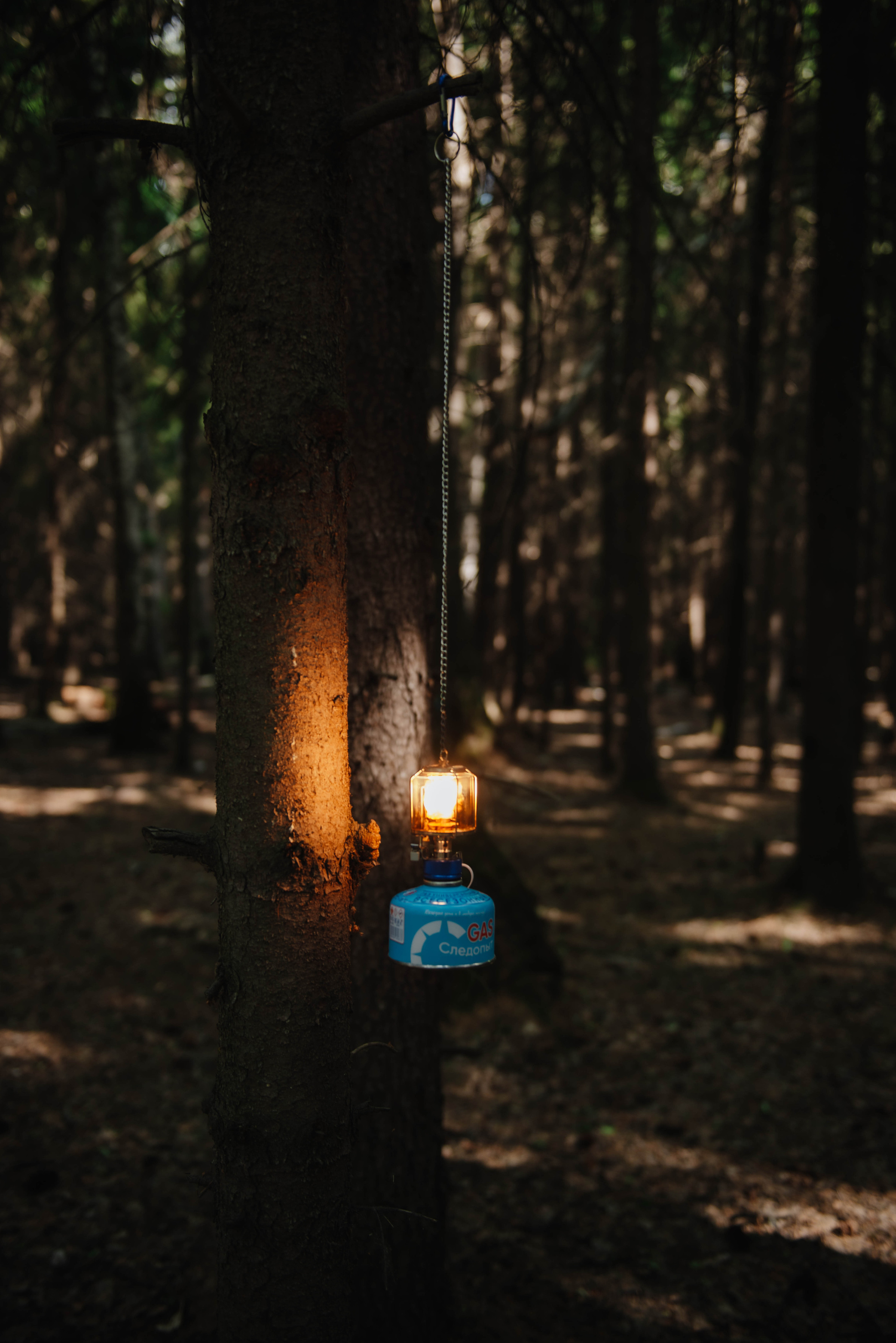 Следопыт. Фотограф Фирсанова Алина