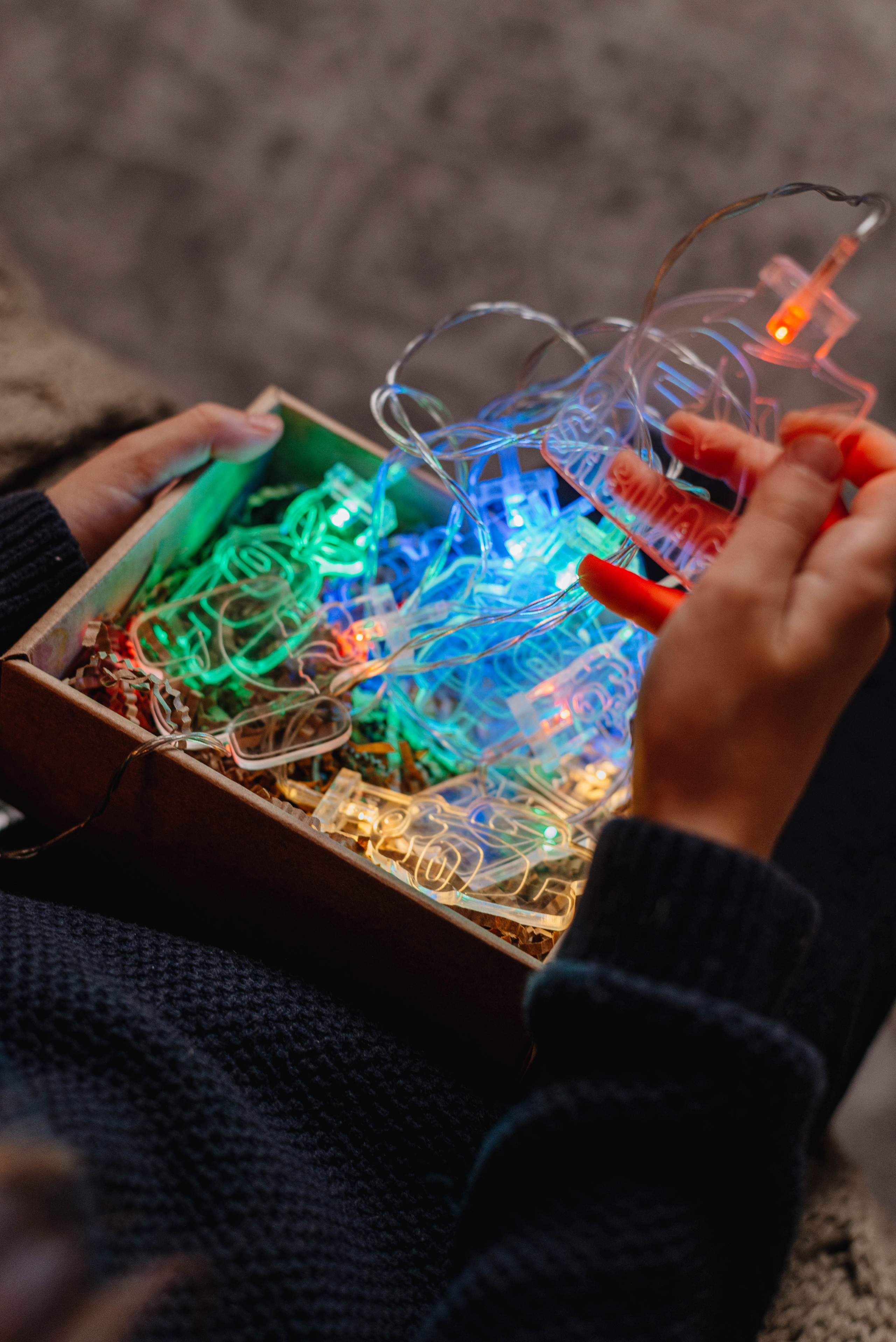 Merega wood. Фотограф Фирсанова Алина