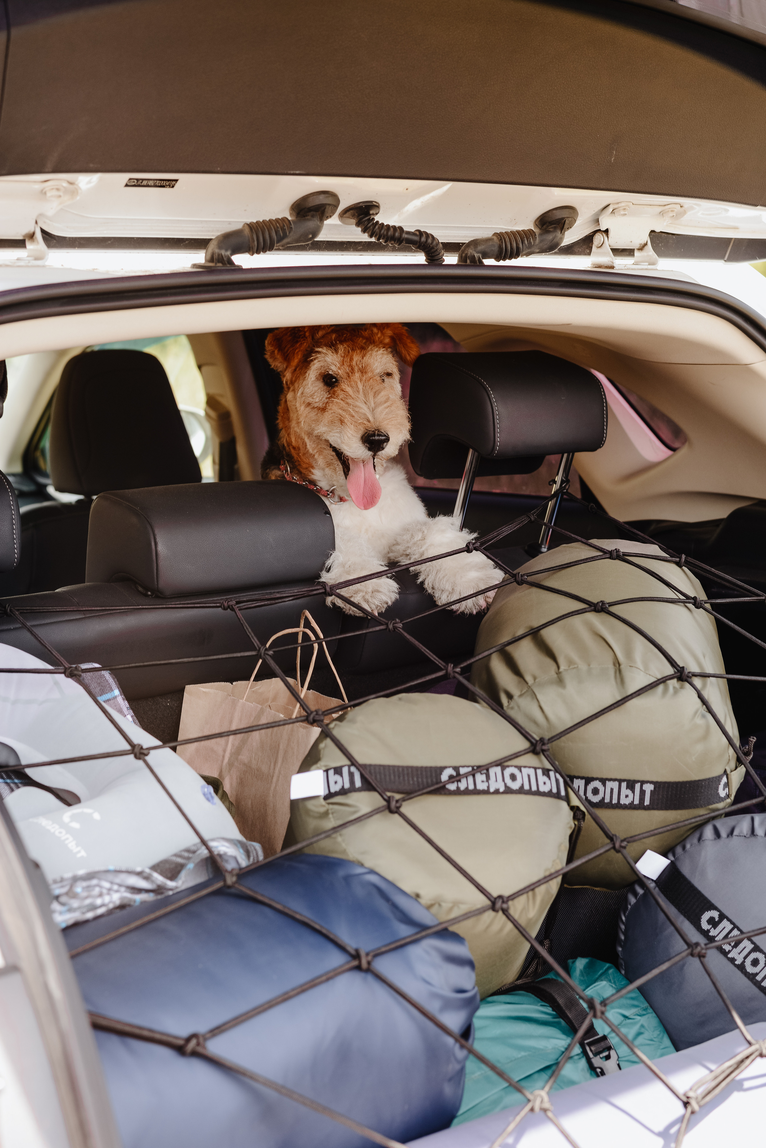 Следопыт. Фотограф Фирсанова Алина