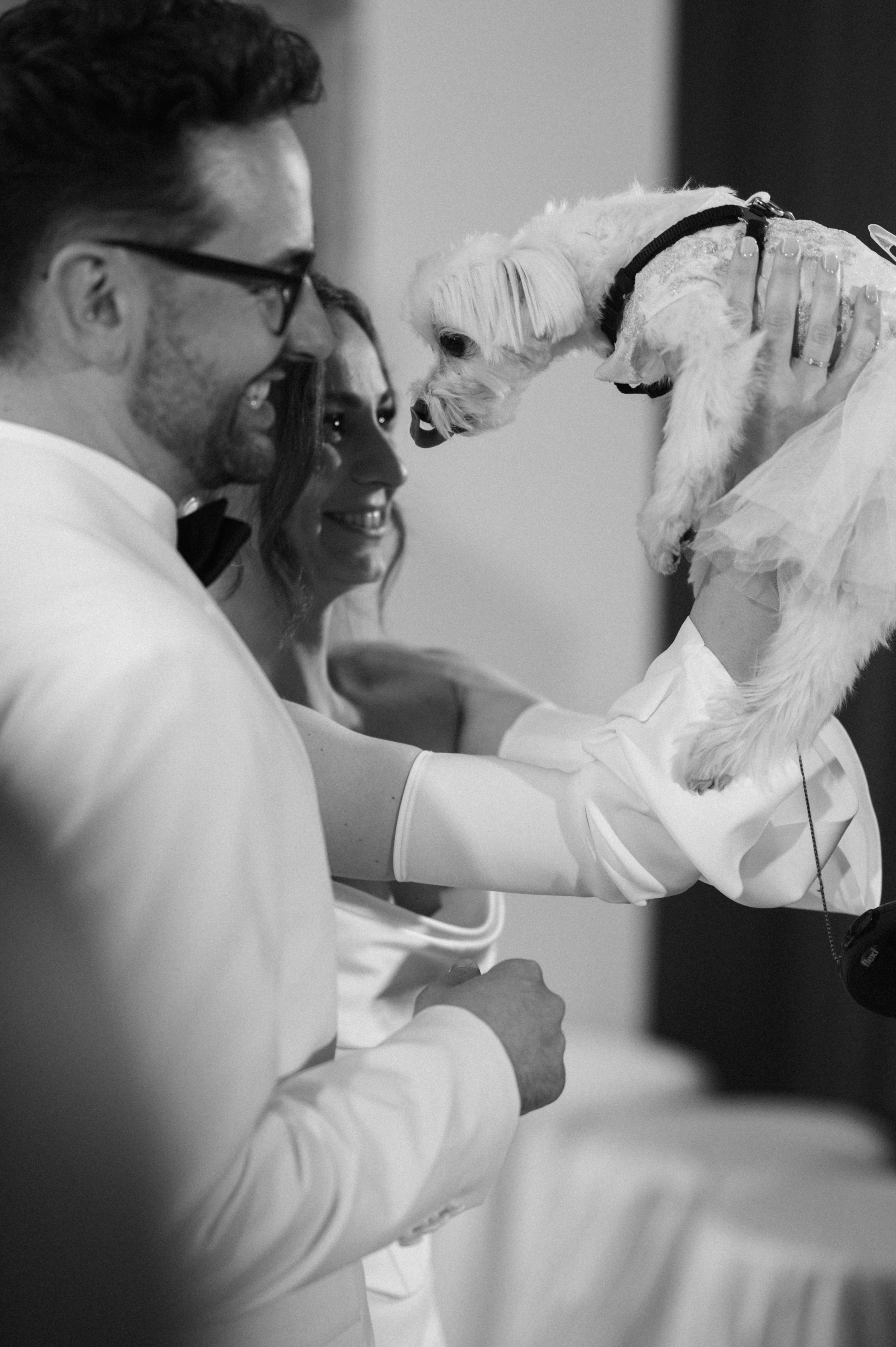 Иван и Наталья. Свадебный фотограф Минск