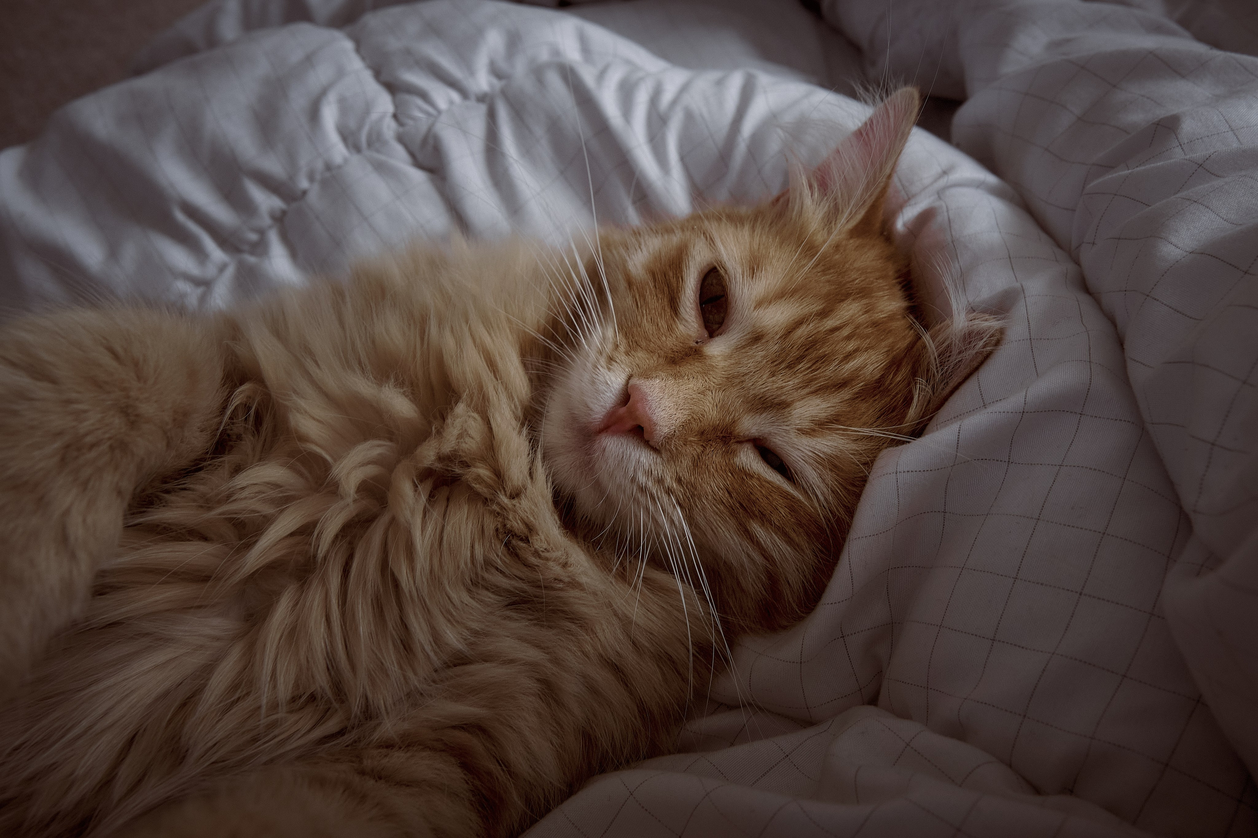 Сyprus > 2024 / april. Aleksandr Kobtsev