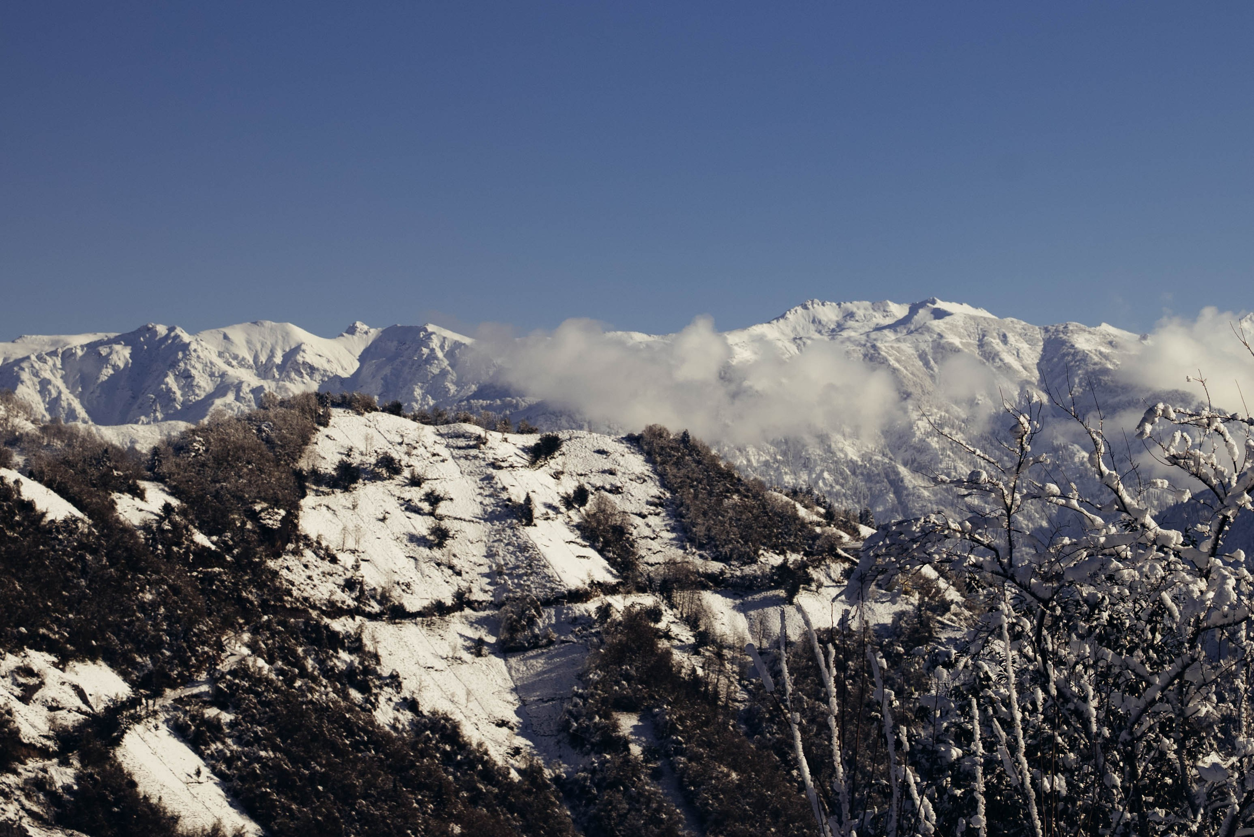 Ризе. Анна Лобанова | фотограф