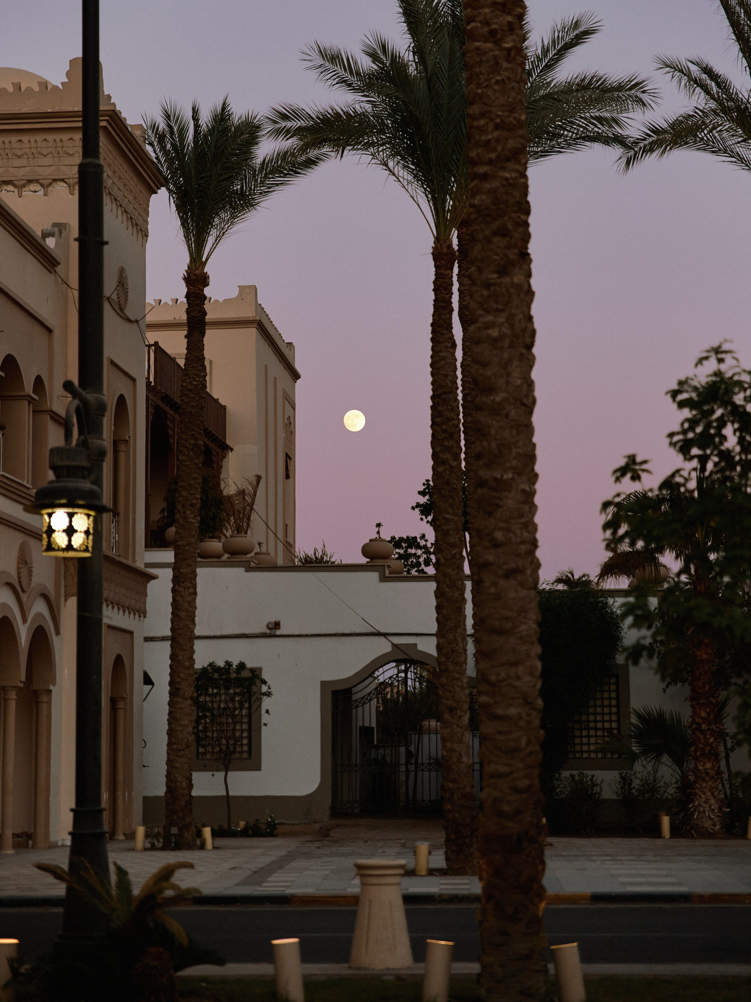 Улицы. Jorgis Talè — photographer, kind person, teacher of arts and other mag