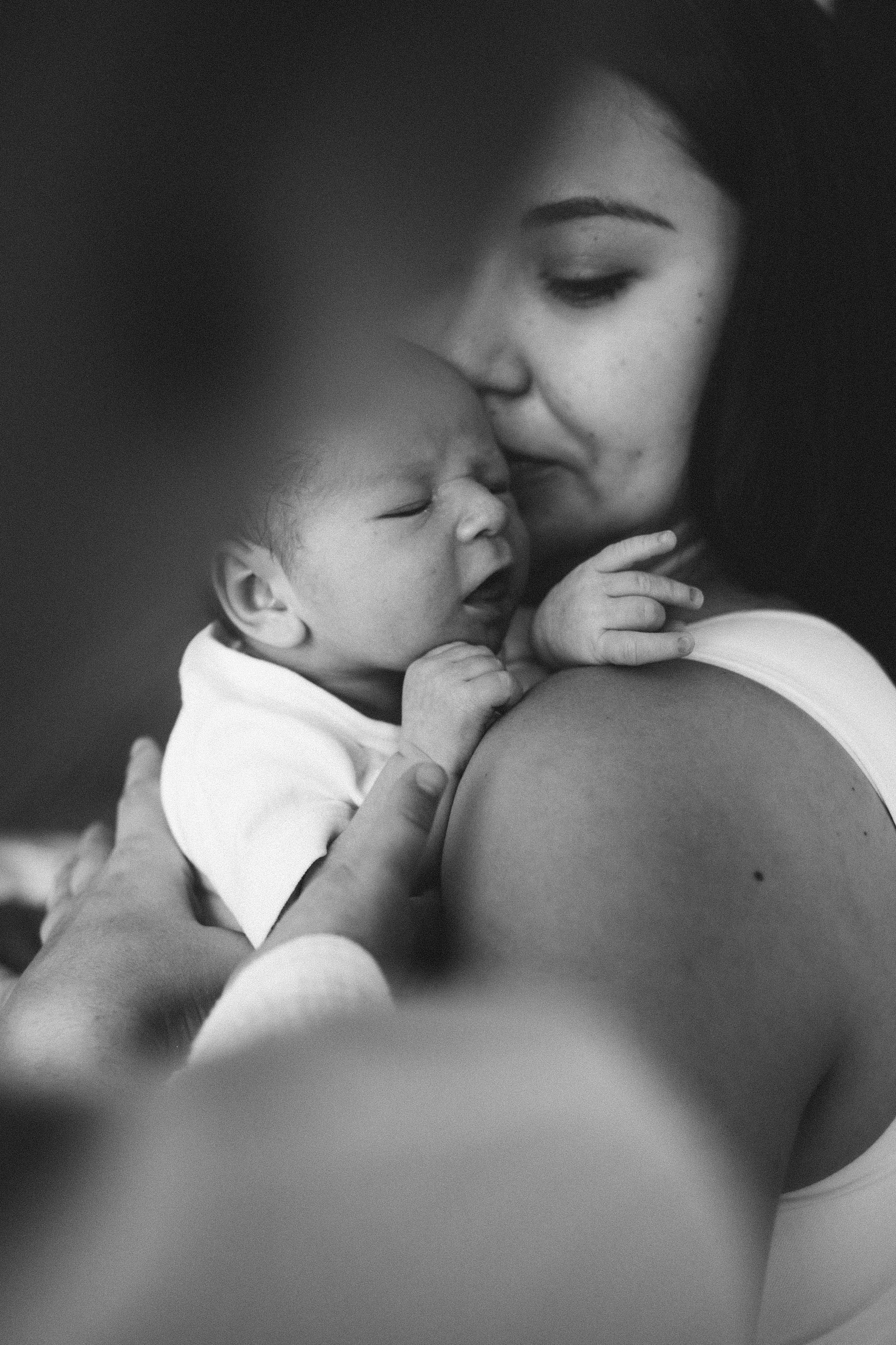 Лев родился. Фотограф Ксения Степаненко