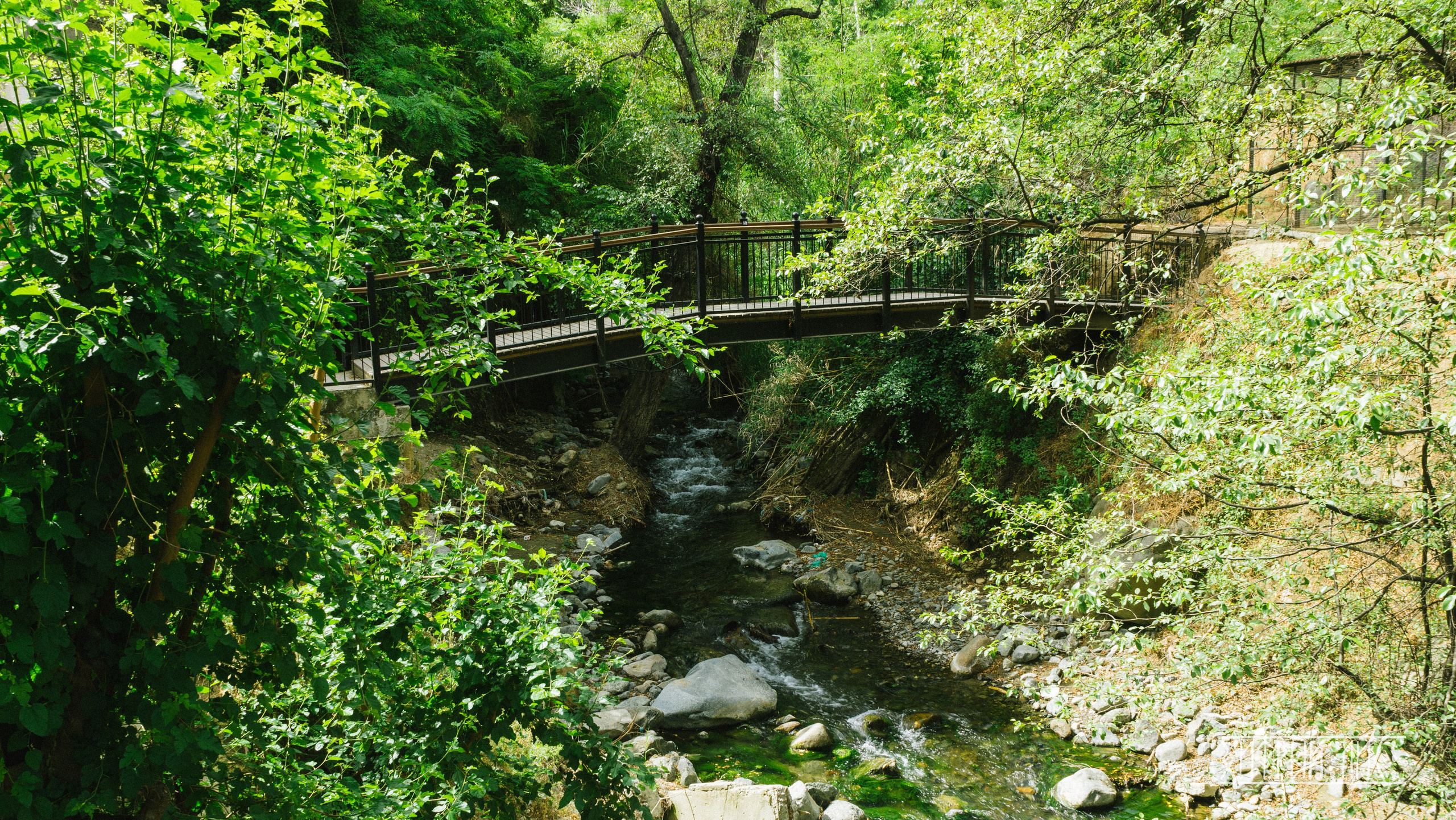Кипр. Фотограф-путешественник Самойлов Максим «Sly Fox»