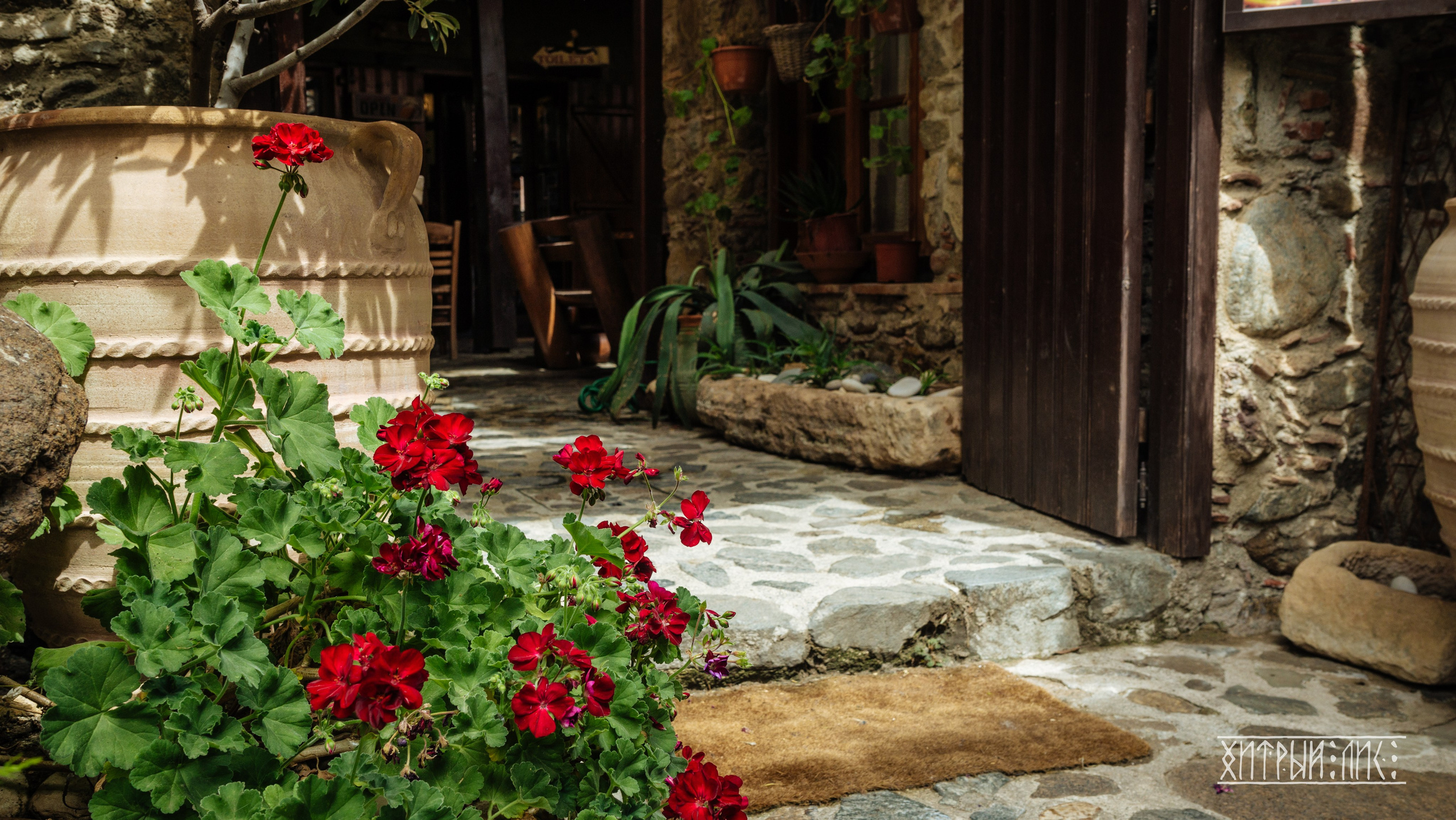 Кипр. Фотограф-путешественник Самойлов Максим «Sly Fox»