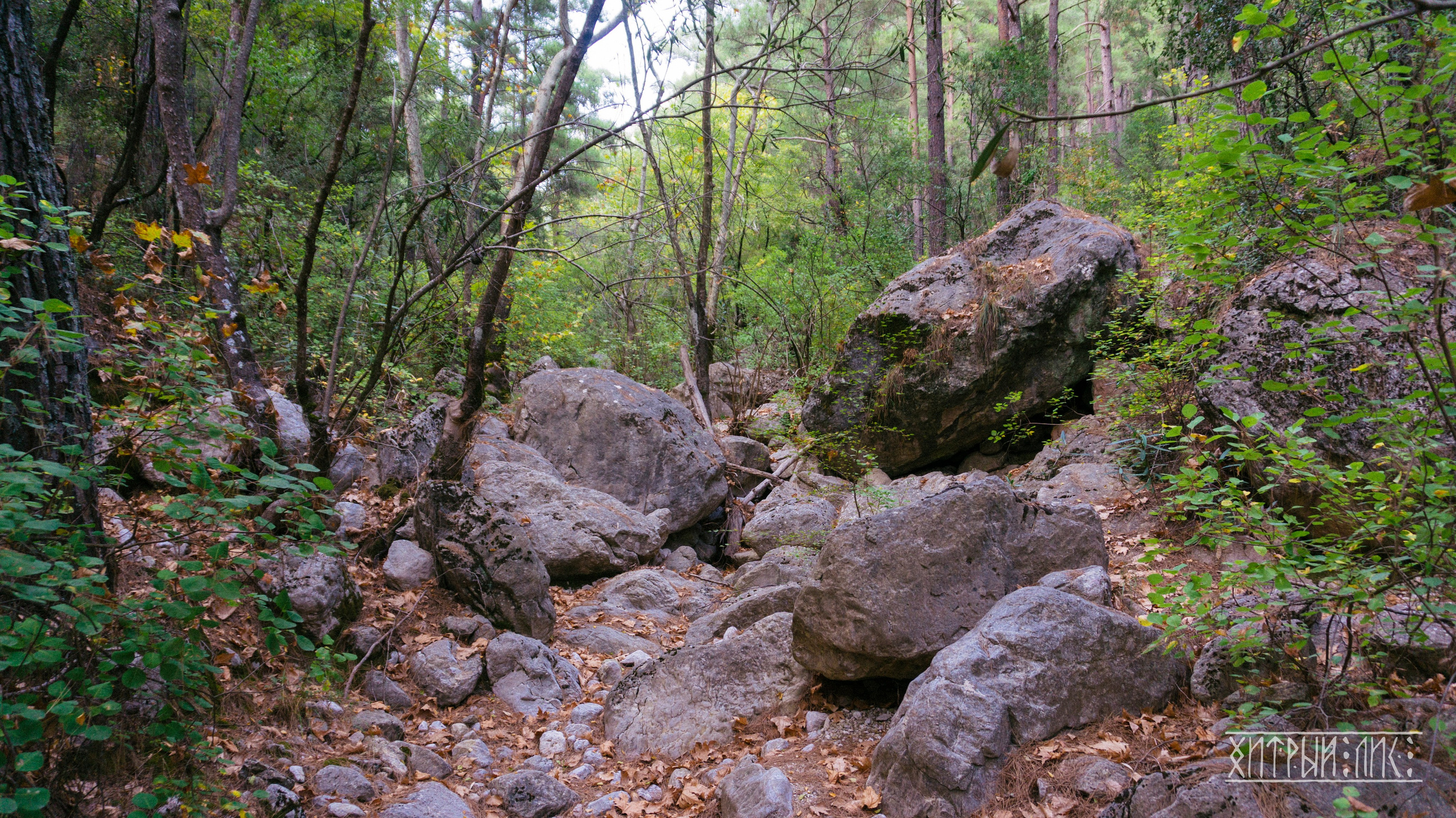 Турция. Ликийский путь. Фотограф-путешественник Самойлов Максим «Sly Fox»
