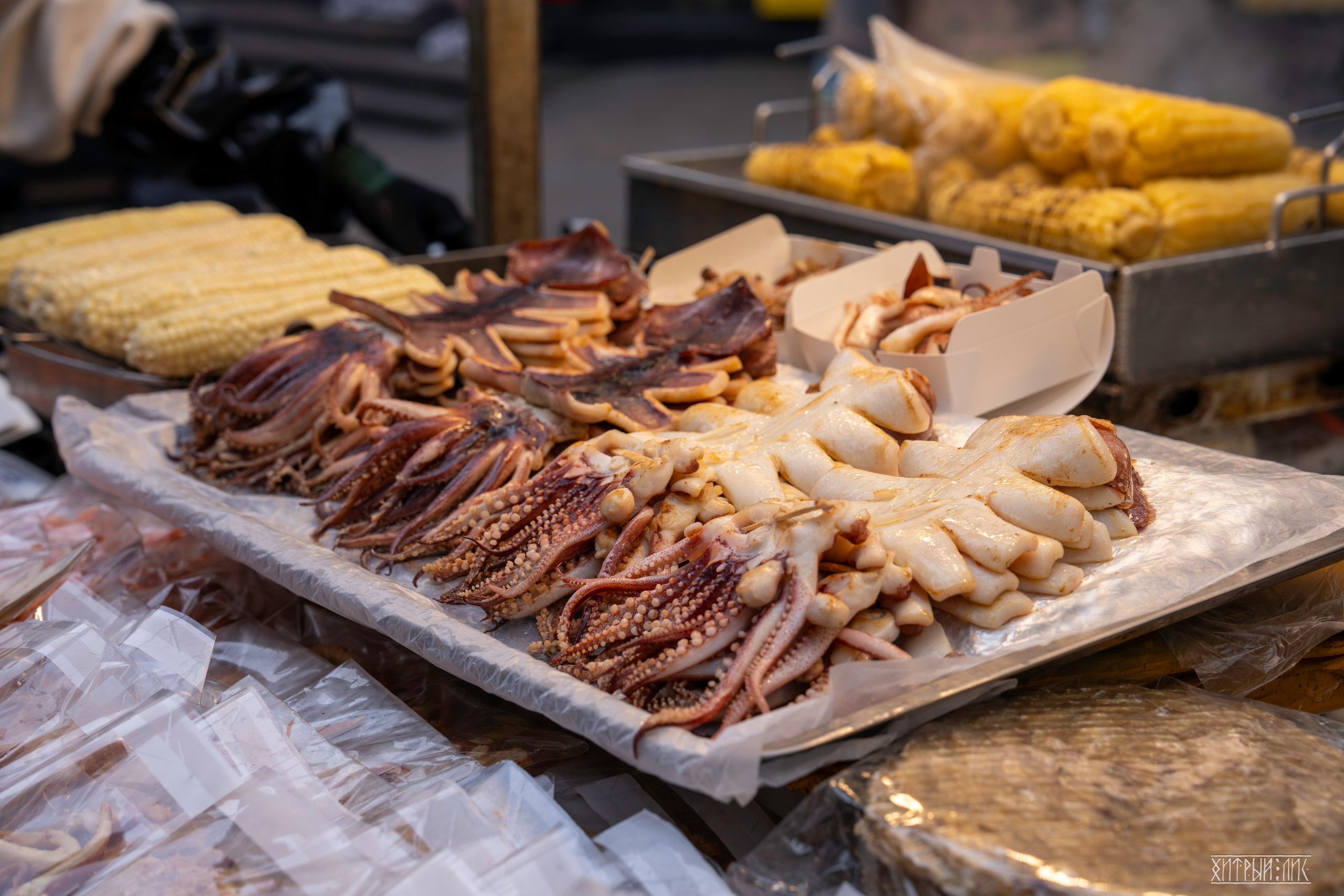 Южная Корея. Фотограф-путешественник Самойлов Максим «Sly Fox»