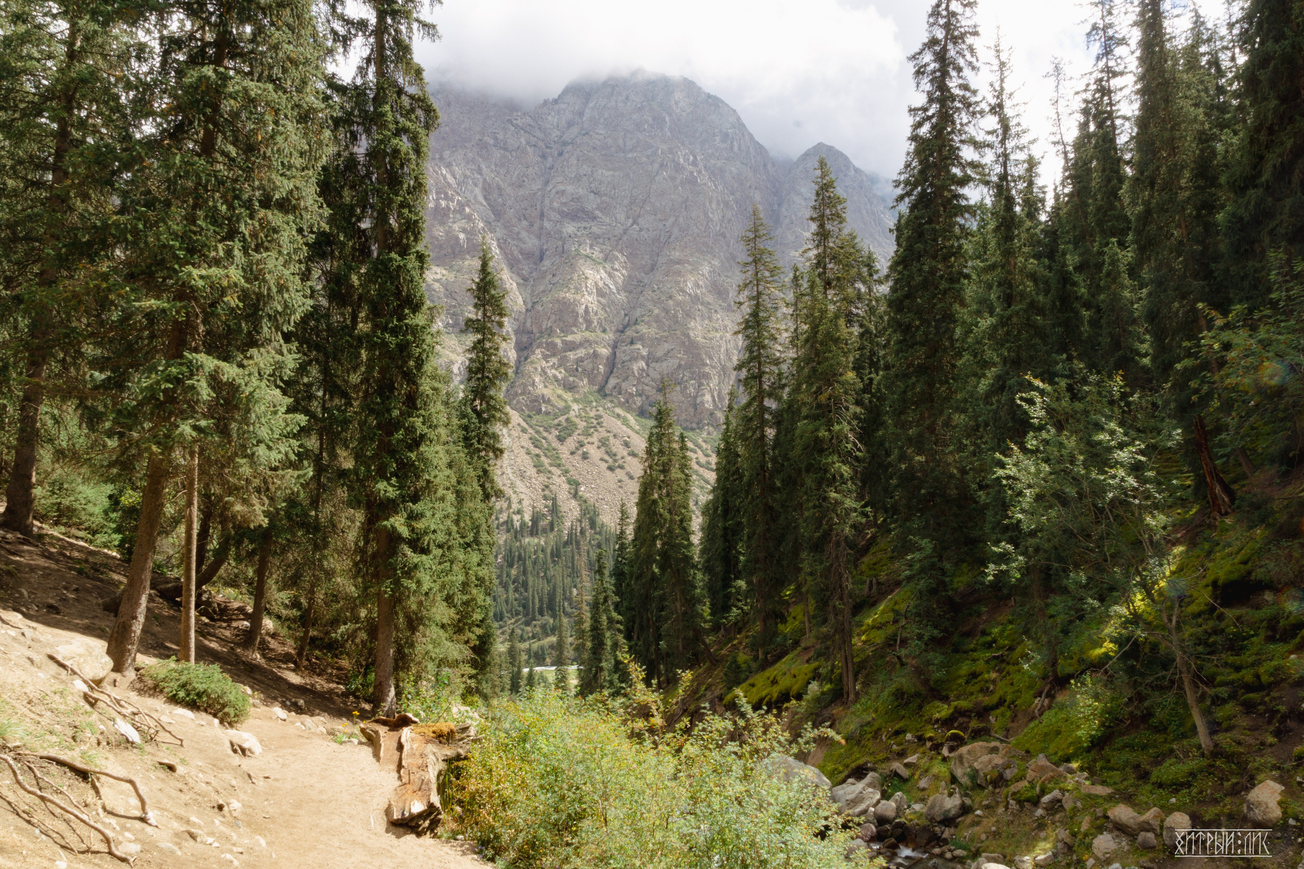 Киргизия. Фотограф-путешественник Самойлов Максим «Sly Fox»