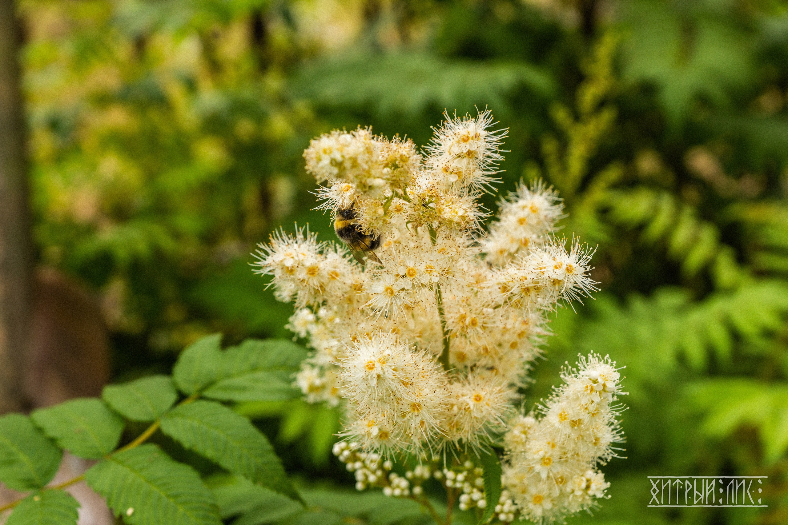 Беларусь. Фотограф-путешественник Самойлов Максим «Sly Fox»