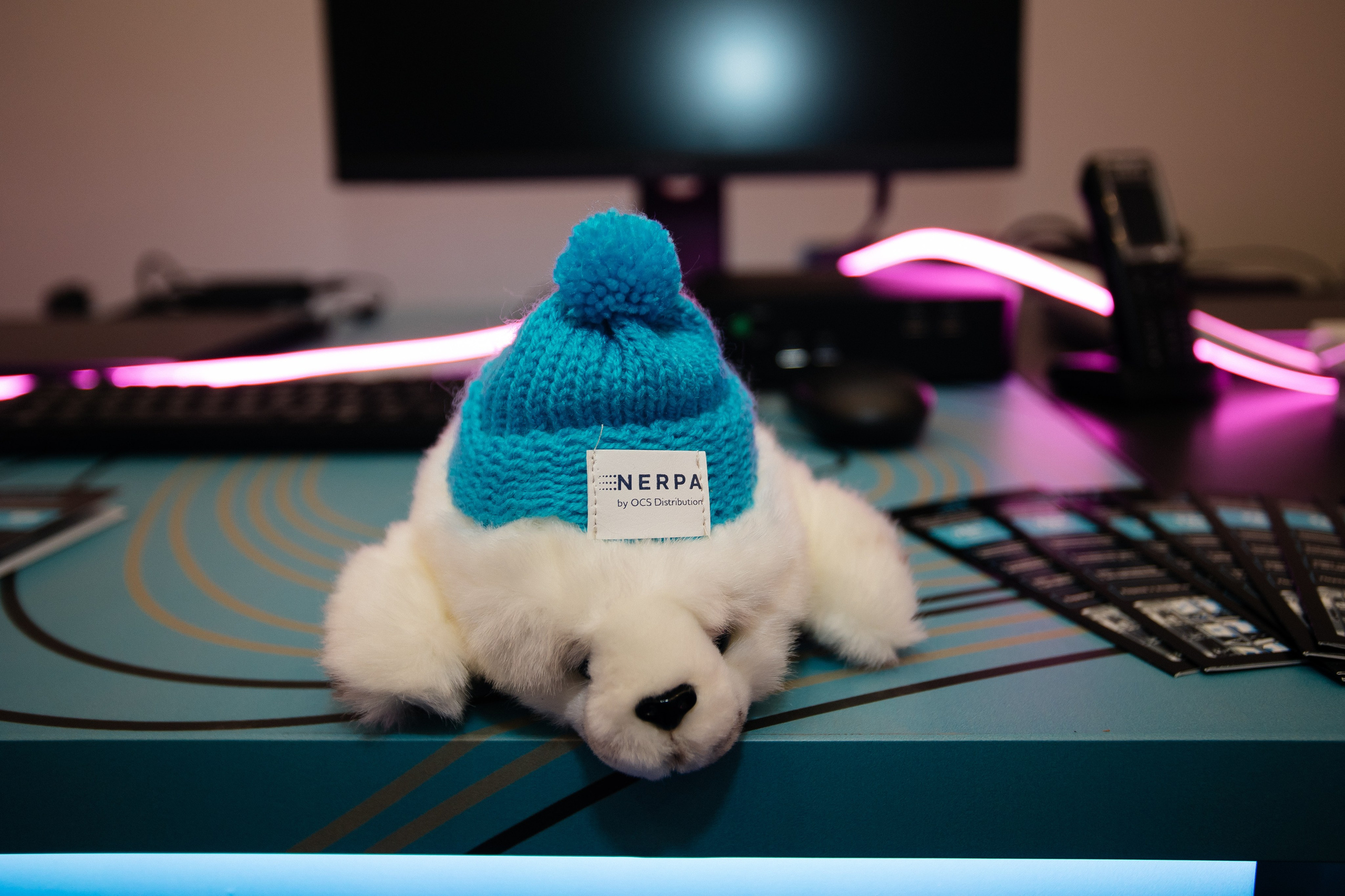 Репортаж конференции. Фотограф в Иркутске