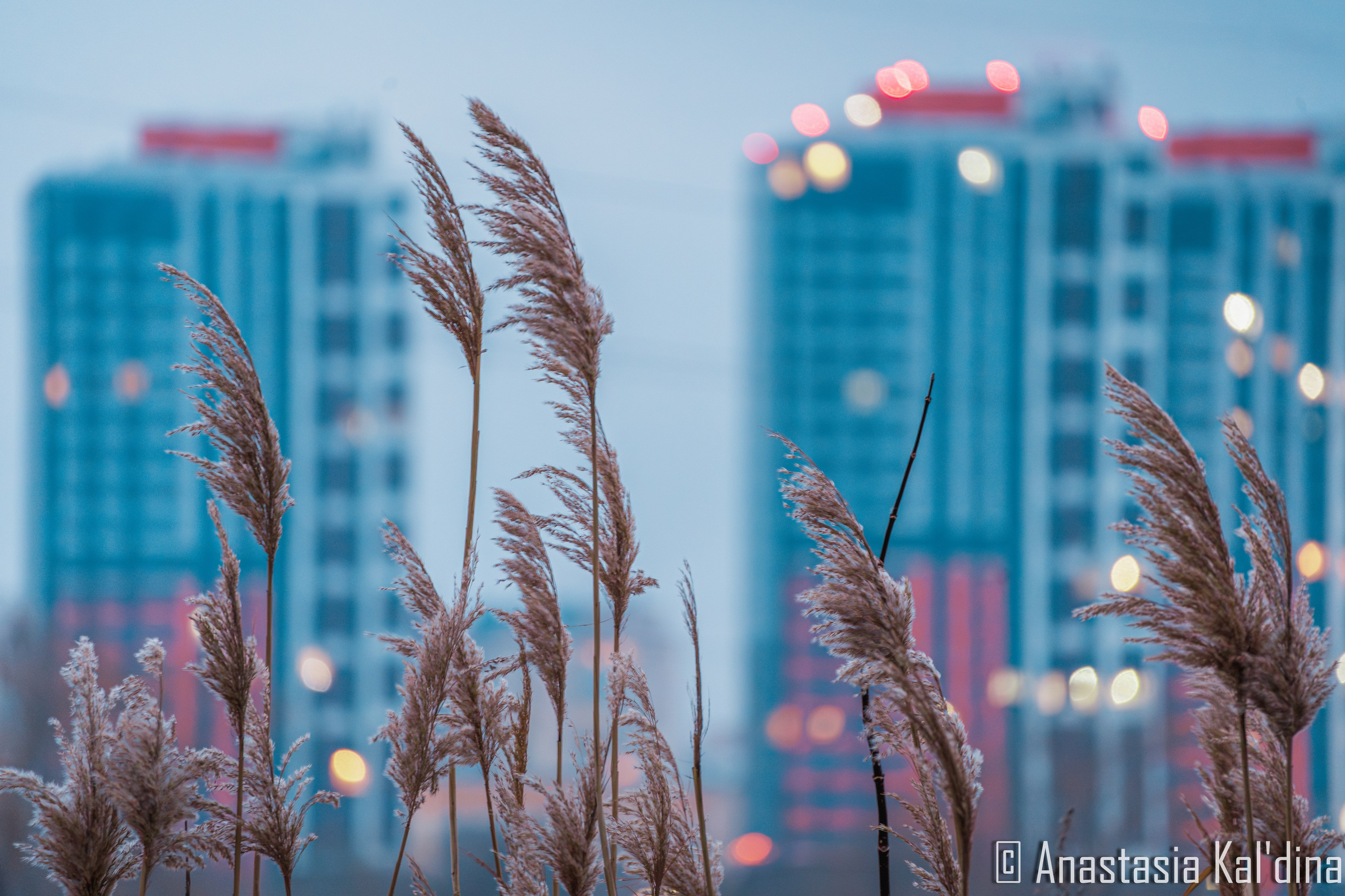 Городской пейзаж/архитектура. Фотограф в Волгограде и Волжском Анастасия Кальдина