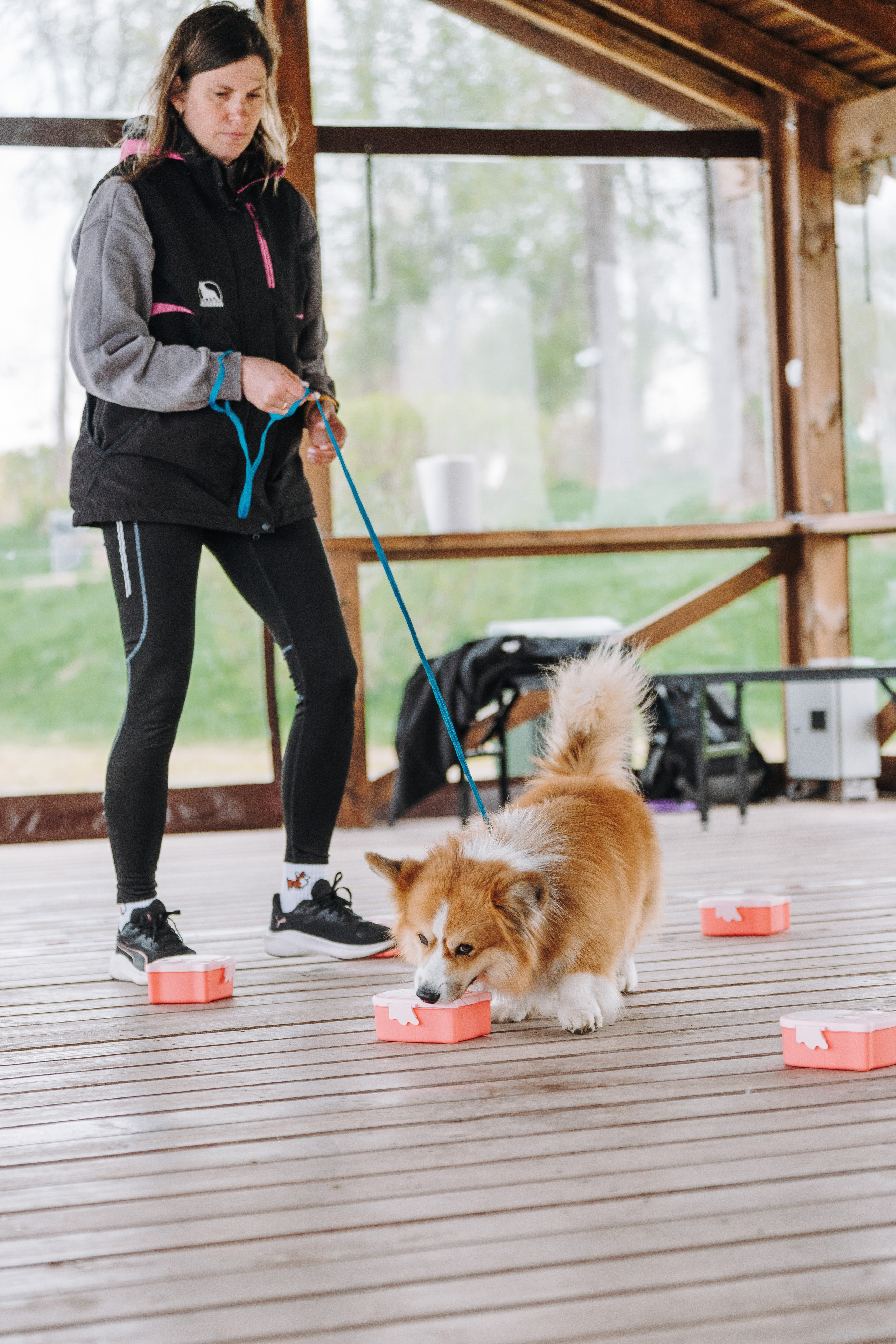 Соревнования по ноузворку в Лосево. Фотограф анималист в Спб недорого Олеся Майорова