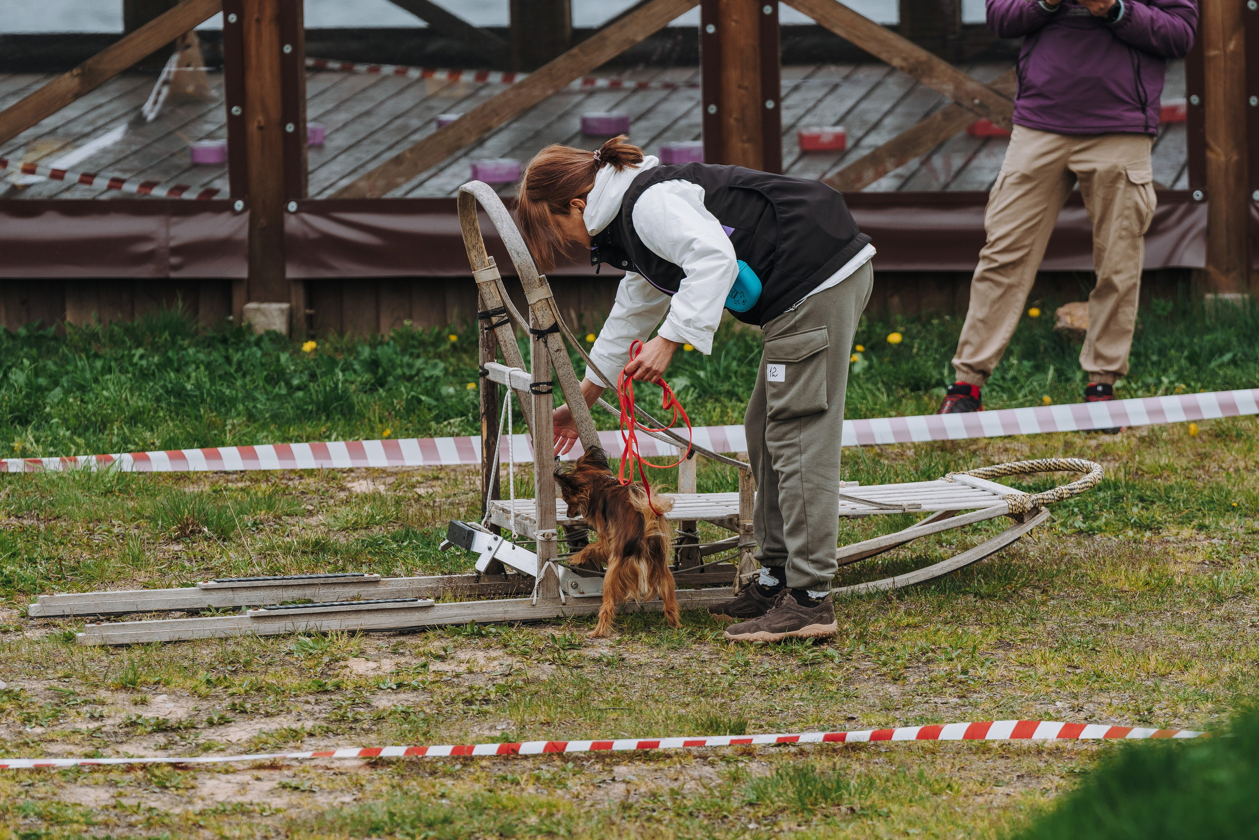 Соревнования по ноузворку в Лосево. Фотограф анималист в Спб недорого Олеся Майорова