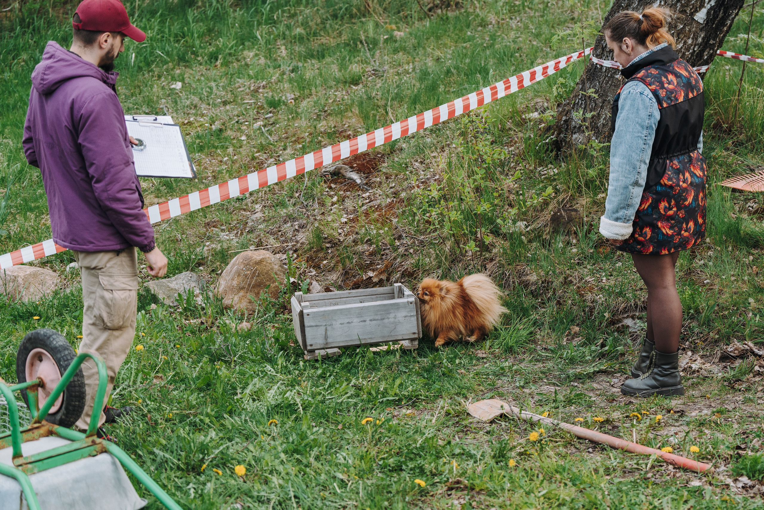 Соревнования по ноузворку в Лосево. Фотограф анималист в Спб недорого Олеся Майорова
