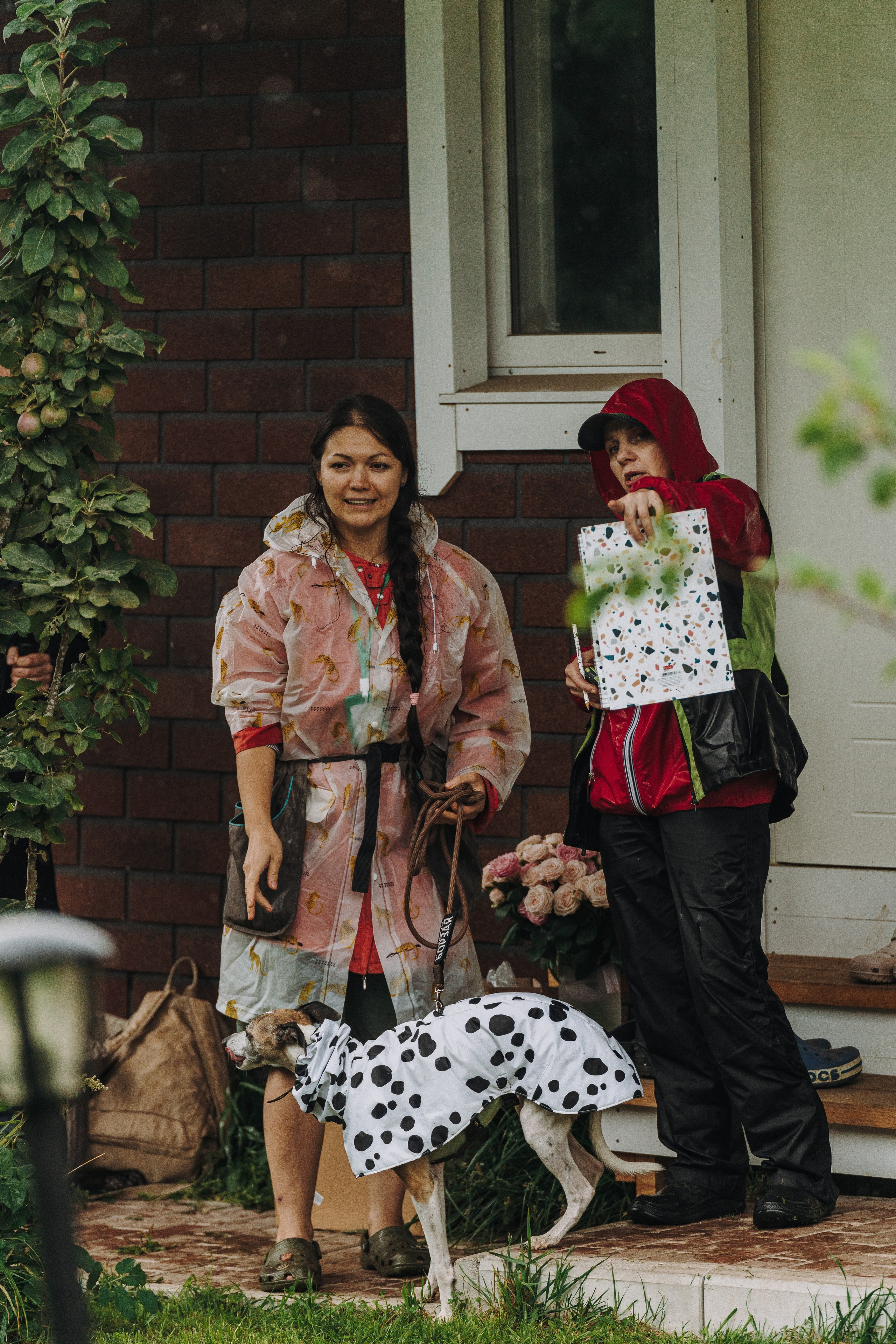 Соревнования по ноузворку в Новожилово. Фотограф анималист в Спб недорого Олеся Майорова