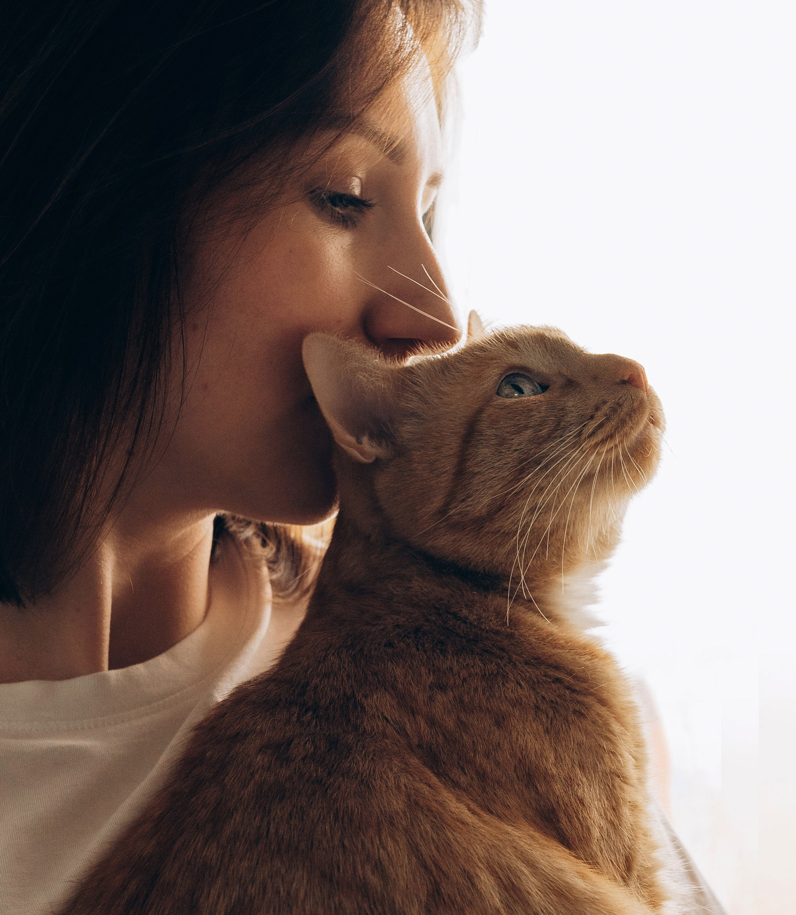 Даша и Брукс. Фотограф анималист в Спб недорого Олеся Майорова