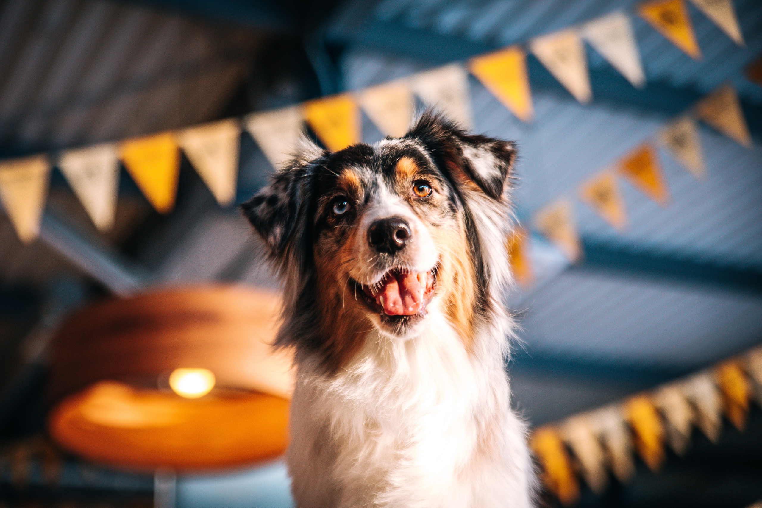 Лиза и Харли в кафе. Главная