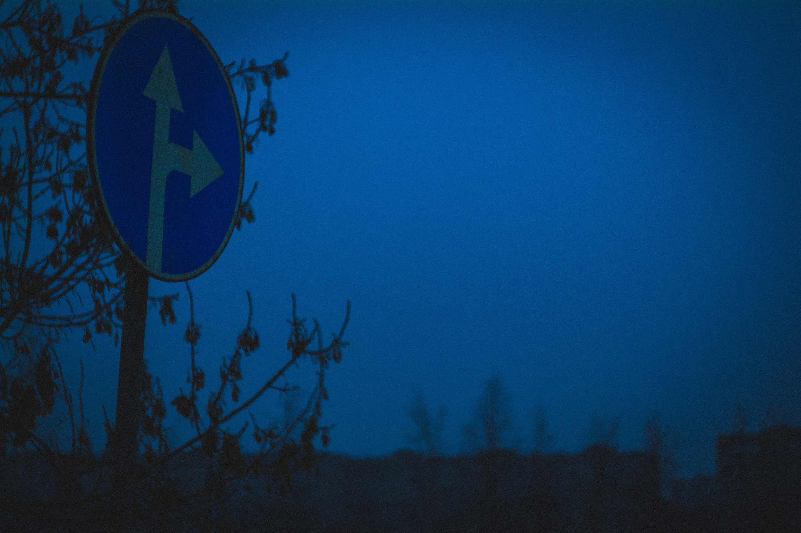 45 minutes. Den Mirov — Photographer, Musician