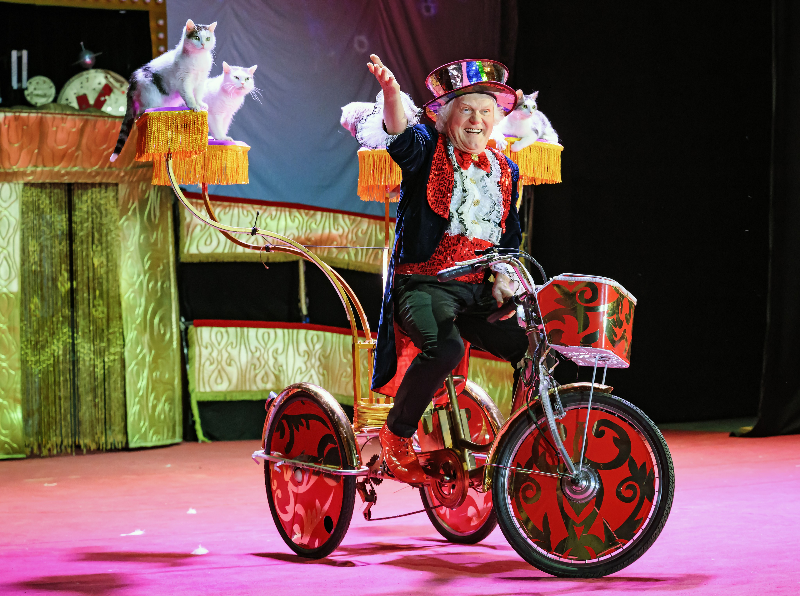 Великий клоун, Народный артист России, Юрий Куклачёв со звёздами эстрады и цирка, уникальный бенефис!. Фотограф Андрей Пухов (Jazz)