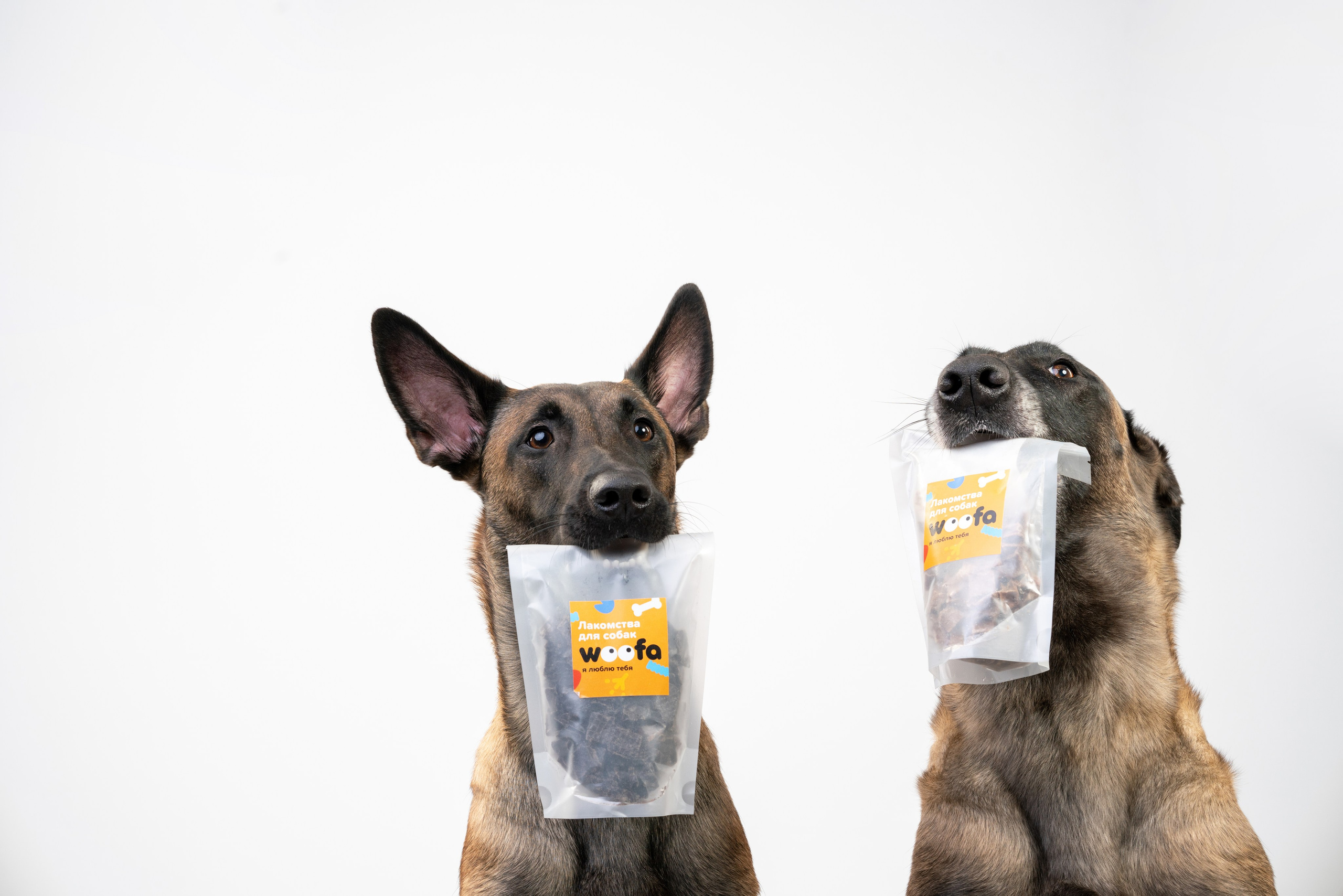 Лакомства Woofa. Фотограф анималист Осипчикова Мария