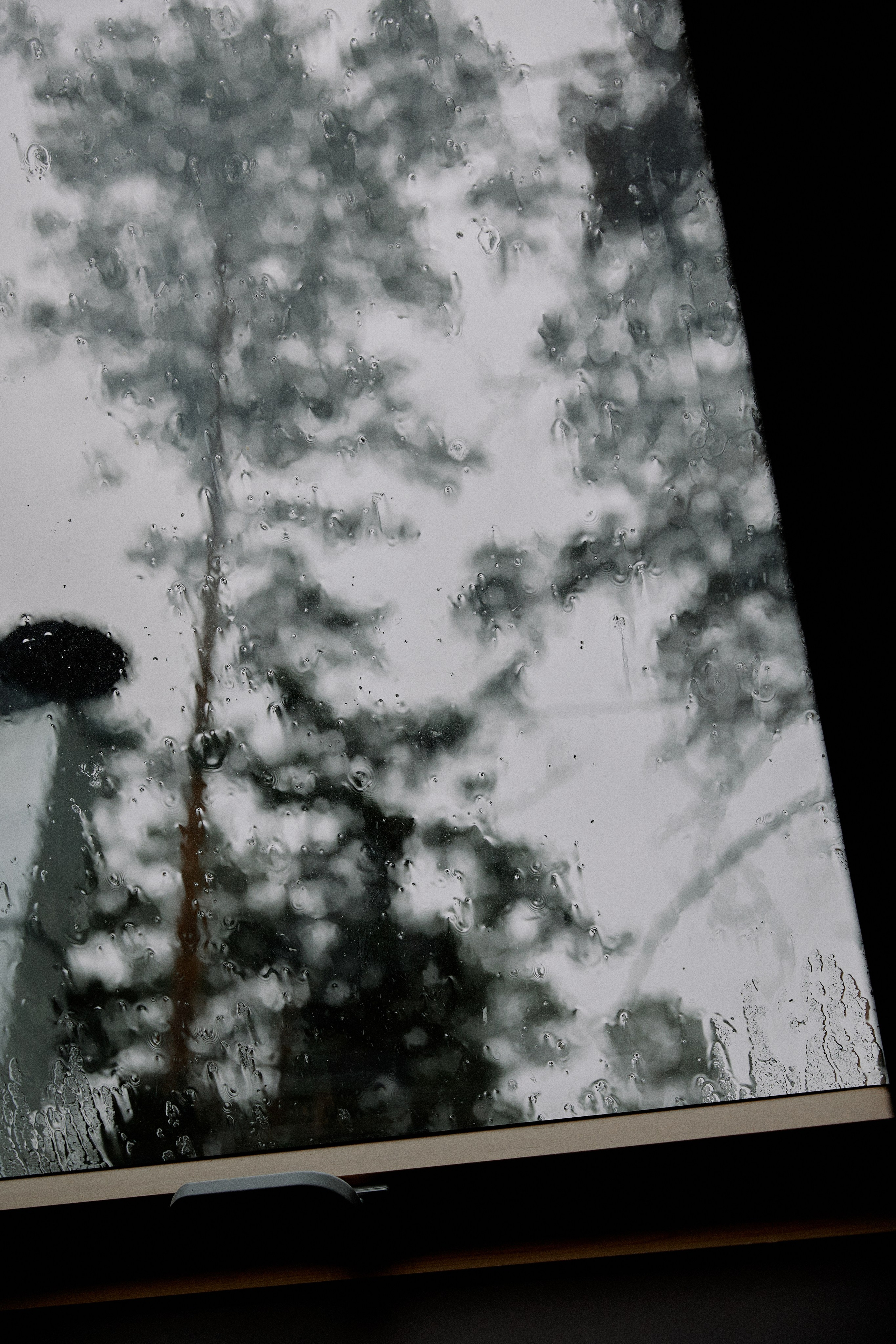 Жемчуг. Фотограф Елена Краснопевцева