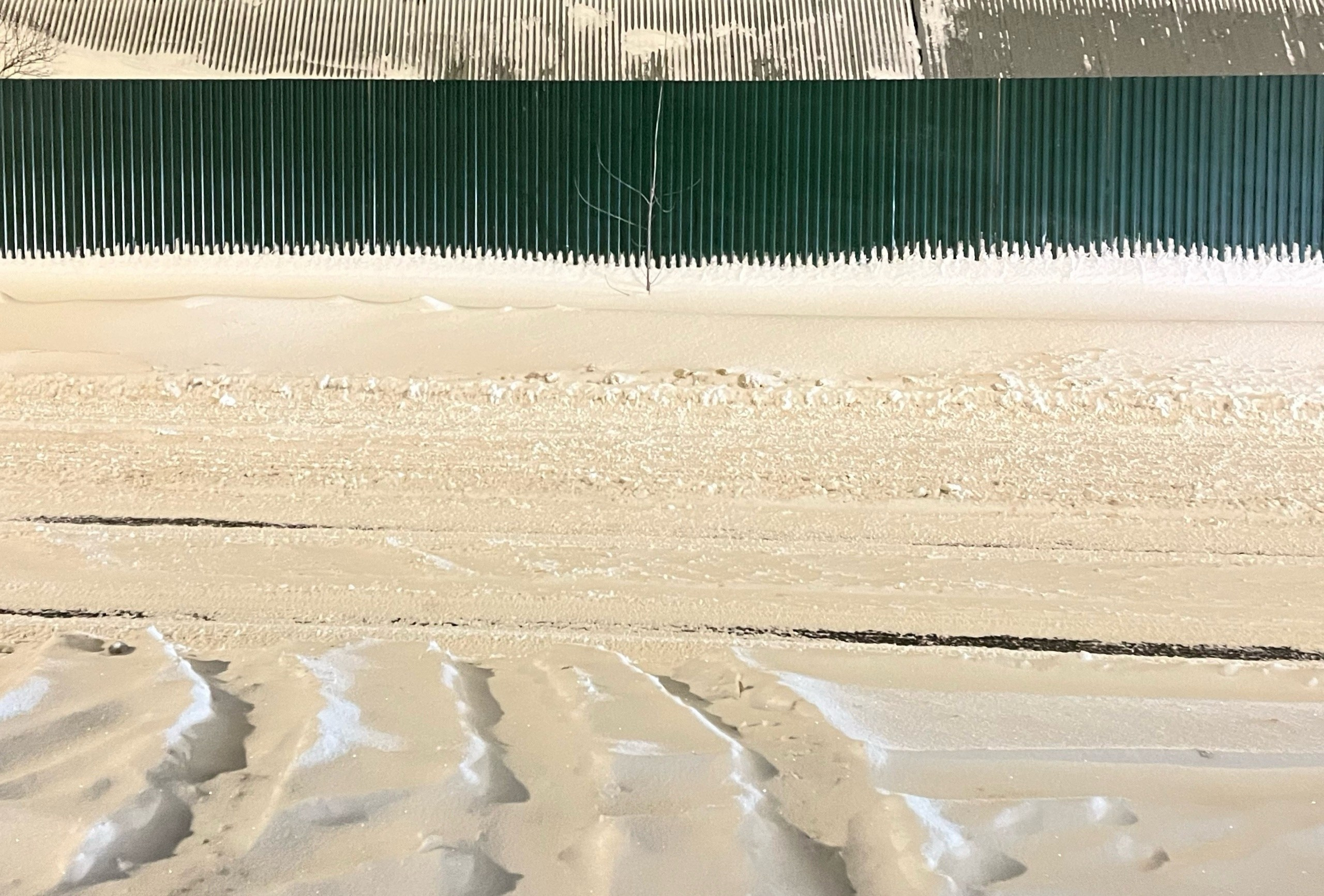 Из сердца лесополосы. Настя Арзуманова, фотограф