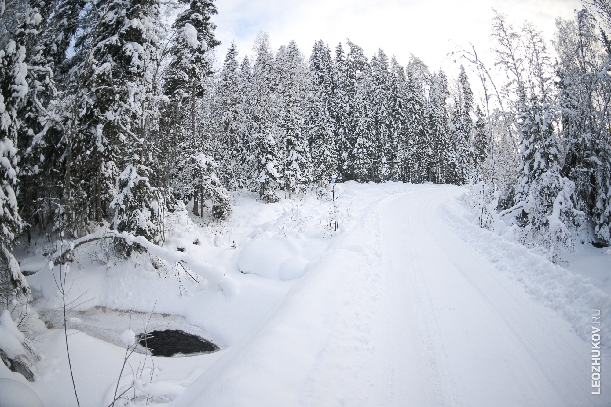 Ралли Лахденпохья 2026. Спортивный фотограф Леонид Жуков