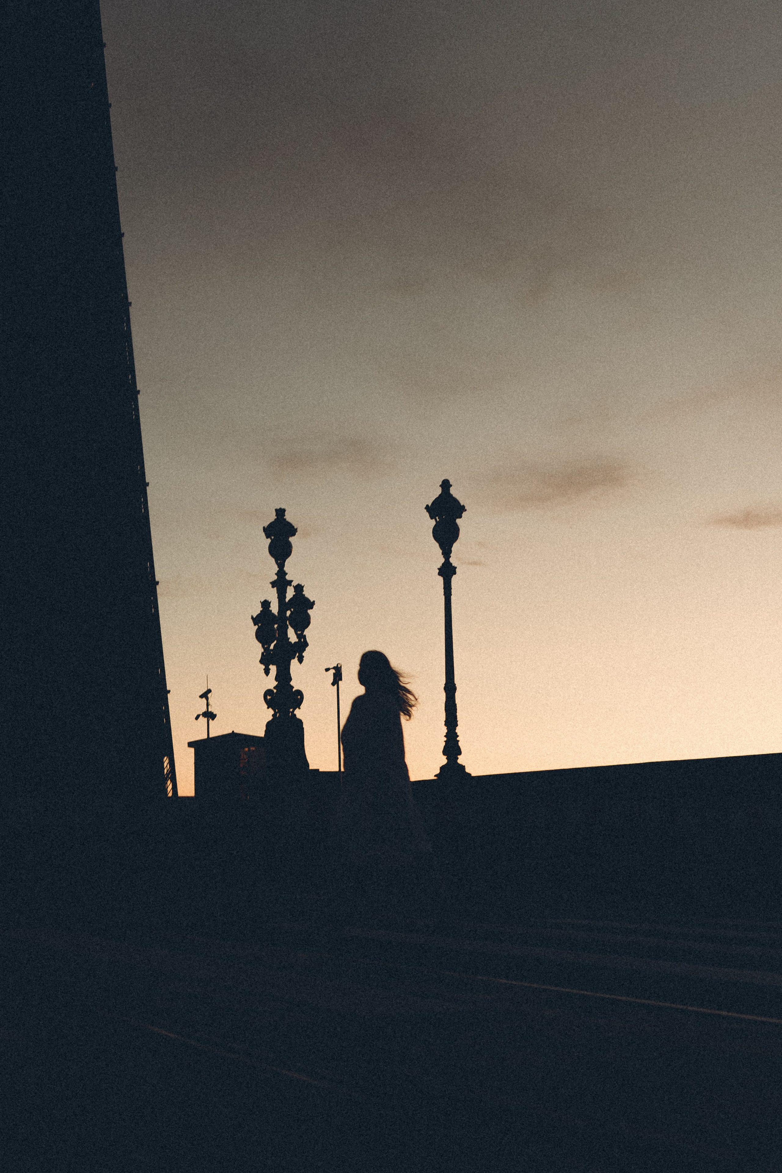 РАССВЕТ С РАЗВОДНЫМИ МОСТАМИ. Профессиональный фотограф, Санкт-Петербург — Виктория Богомолова