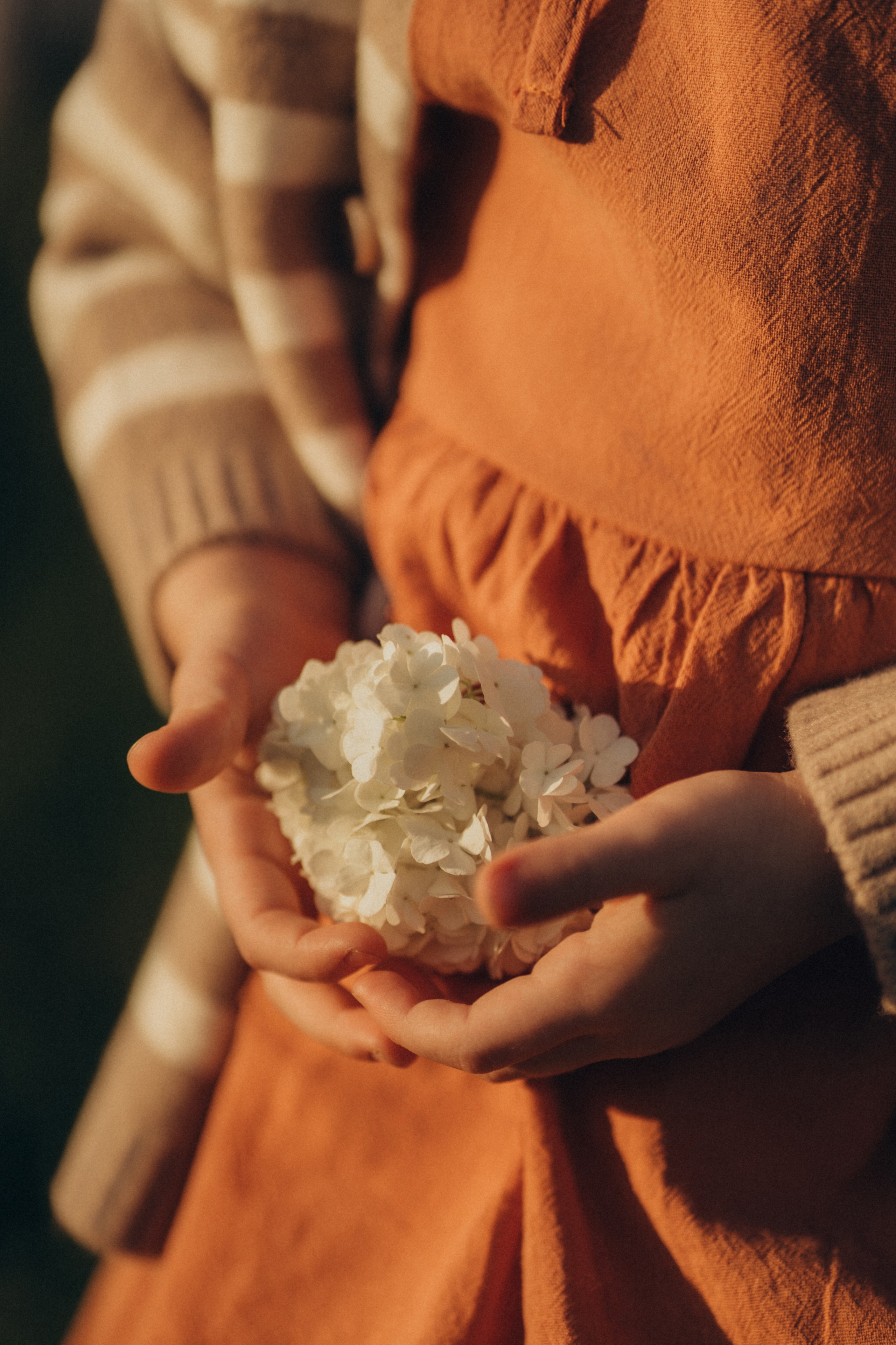 Семья. Закат. Счастье. Семейный фотограф в Москве Елена Гильманова
