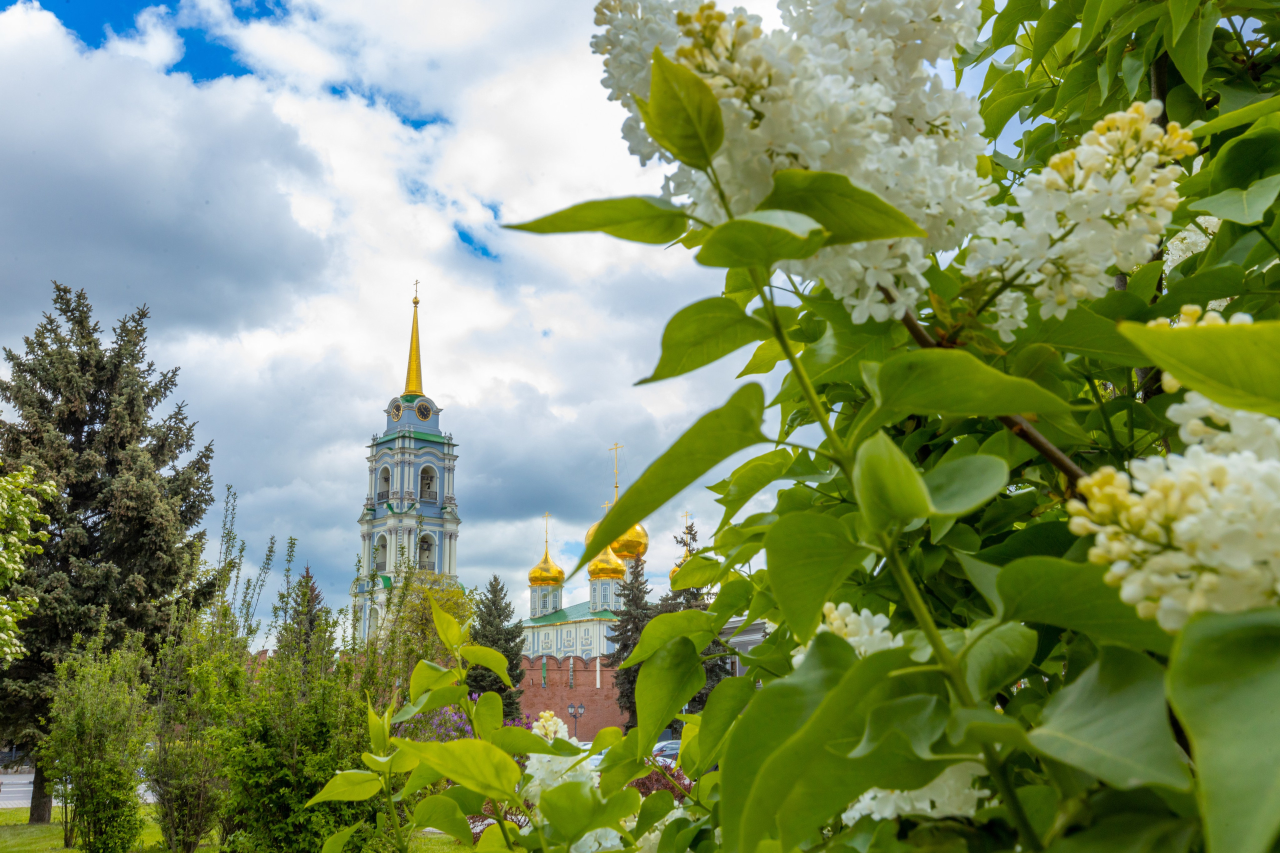 Весеннее цветение в Туле. Фотограф в Туле Крупский АнДРей. Фотостудия «КАДР71» в Туле